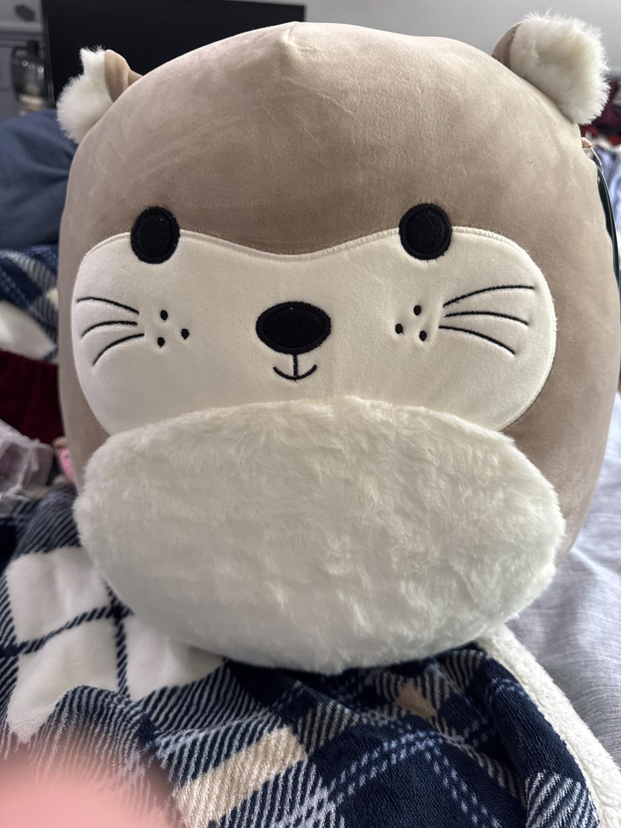 Squishmallows 14-Inch Light Brown Otter with Fuzzy Ears Plush - Add RIE to Your Squad, Ultrasoft Stuffed Animal Large Plush Toy, Official Kelly Toy Plush - Customer Photo 1