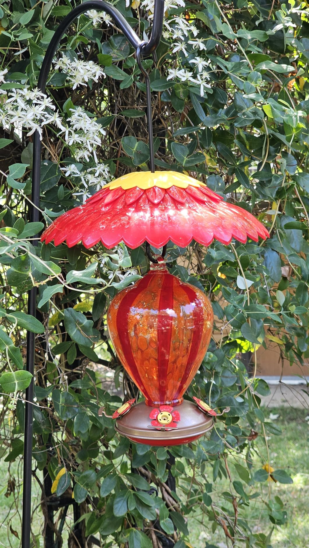 Gifts for Mom 34OZ Hand Blown Glass Hummingbird Feeders for Outdoors Hanging, with Ant Moat Humming Bird Feeders, Porch Backyard Decor Gifts for Women (Floral Balloon) Customer Review Gifts for Mom 34OZ Hand Blown Glass Hummingbird Feeders for Outdoors Hanging, with Ant Moat Humming Bird Feeders, Porch Backyard Decor Gifts for Women (Floral Balloon) - Customer Photo 3