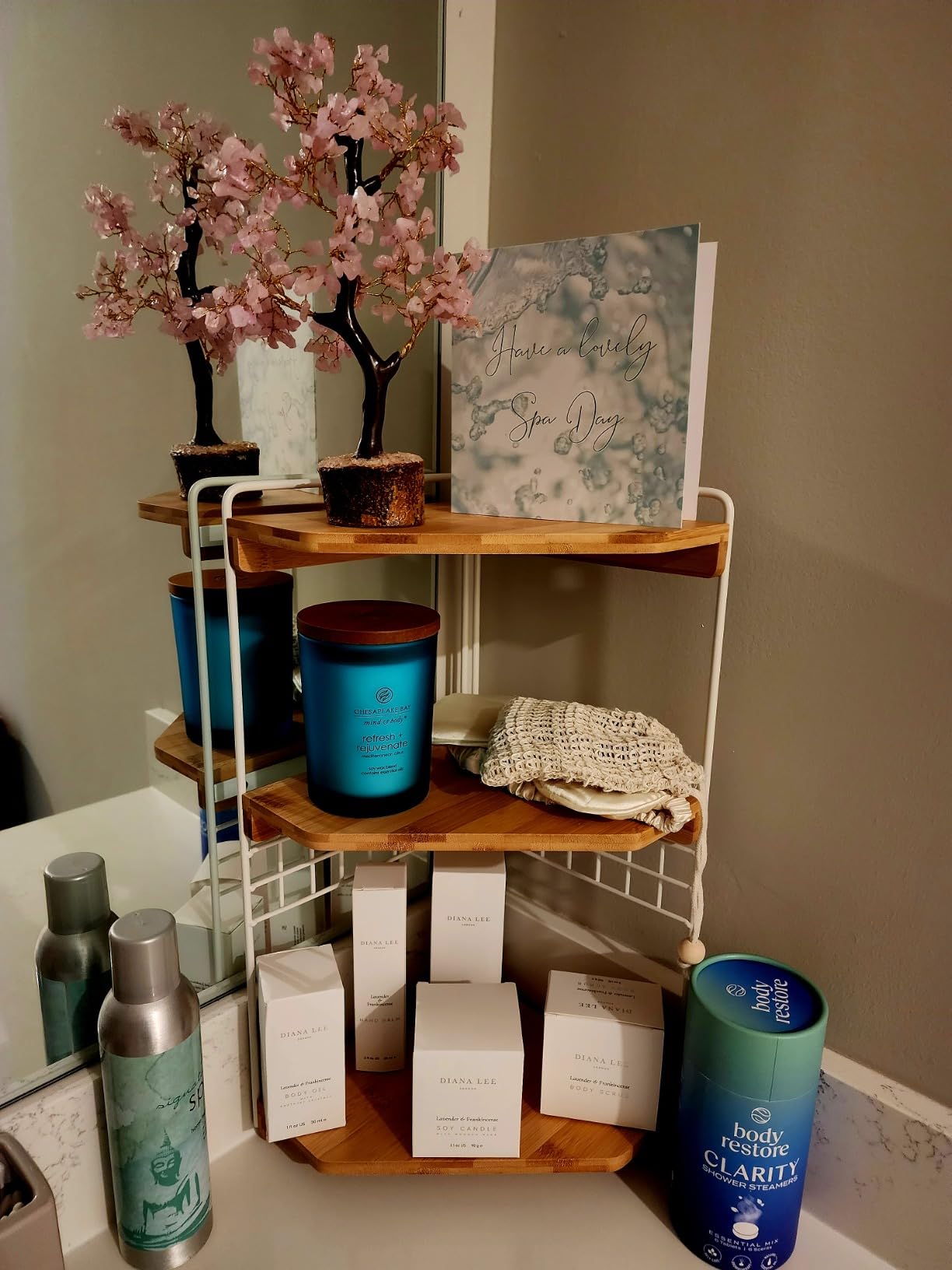 Jasmyn & Greene Luxury Spa Gift Basket for Women - 10 Relaxing Spa Birthday Gifts for Women with Lavender. Bridal Shower Gifts for Woman with Self Care Kit. Get Well Soon Package for Mother Sister. - Customer Photo 3