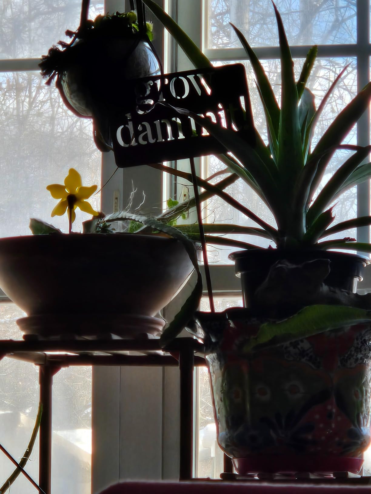 Island Genius Grow Dammit Funny Garden Sign, Unique Outside Gardening Decor Outdoor, Flower Vegetable Garden Accessories, Fun Gardening Gifts for Women Men Mom Gardener Who Love Plants, Alloy Steel - Customer Photo 1