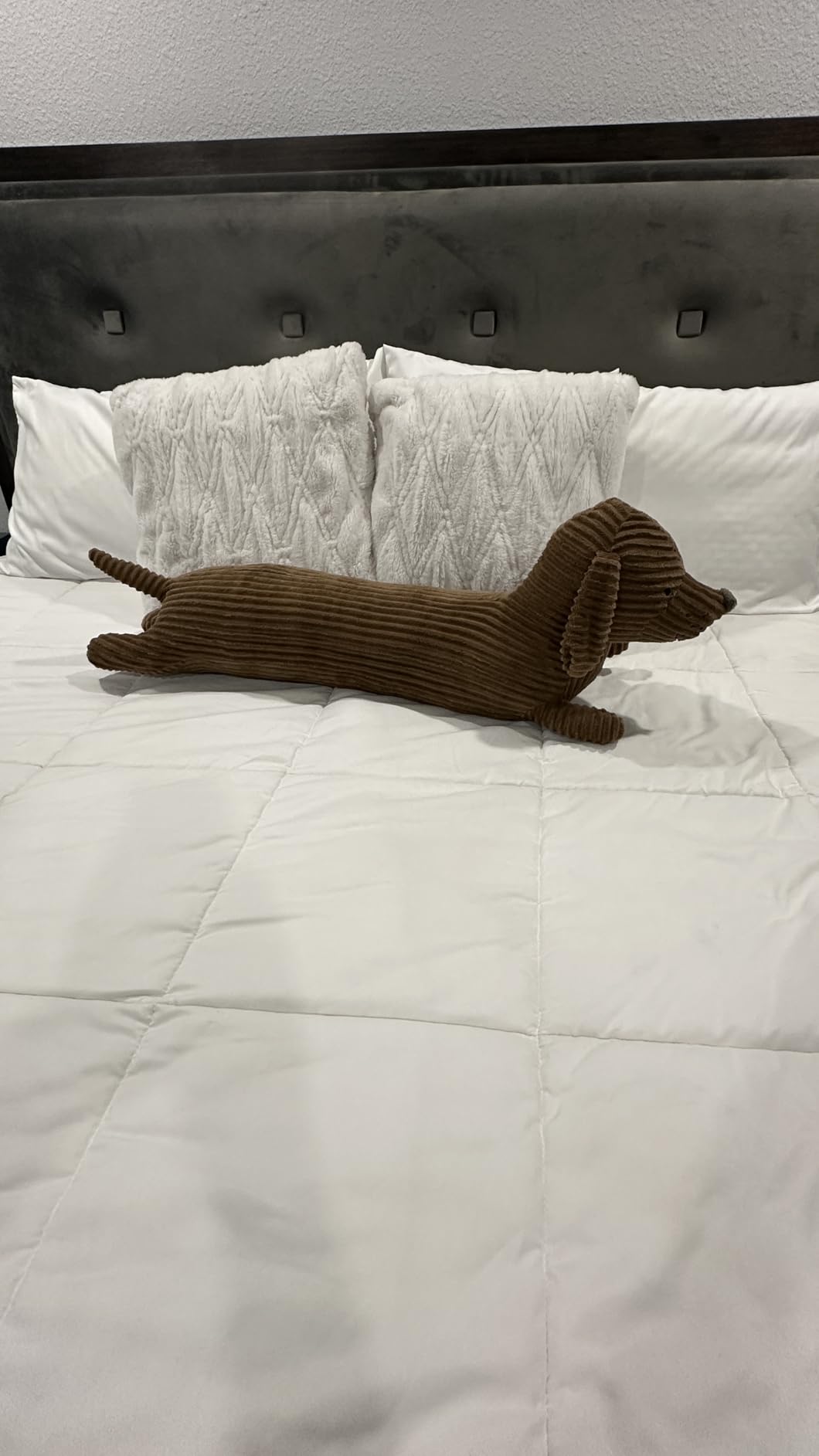 36 Inch Dachshund Dog Stuffed Animal Plush, Long Weiner Dog Body Pillow, Cute Funny Large Dachshund Toys Plushies Decor Ideal Gift for Kids - Customer Photo 3