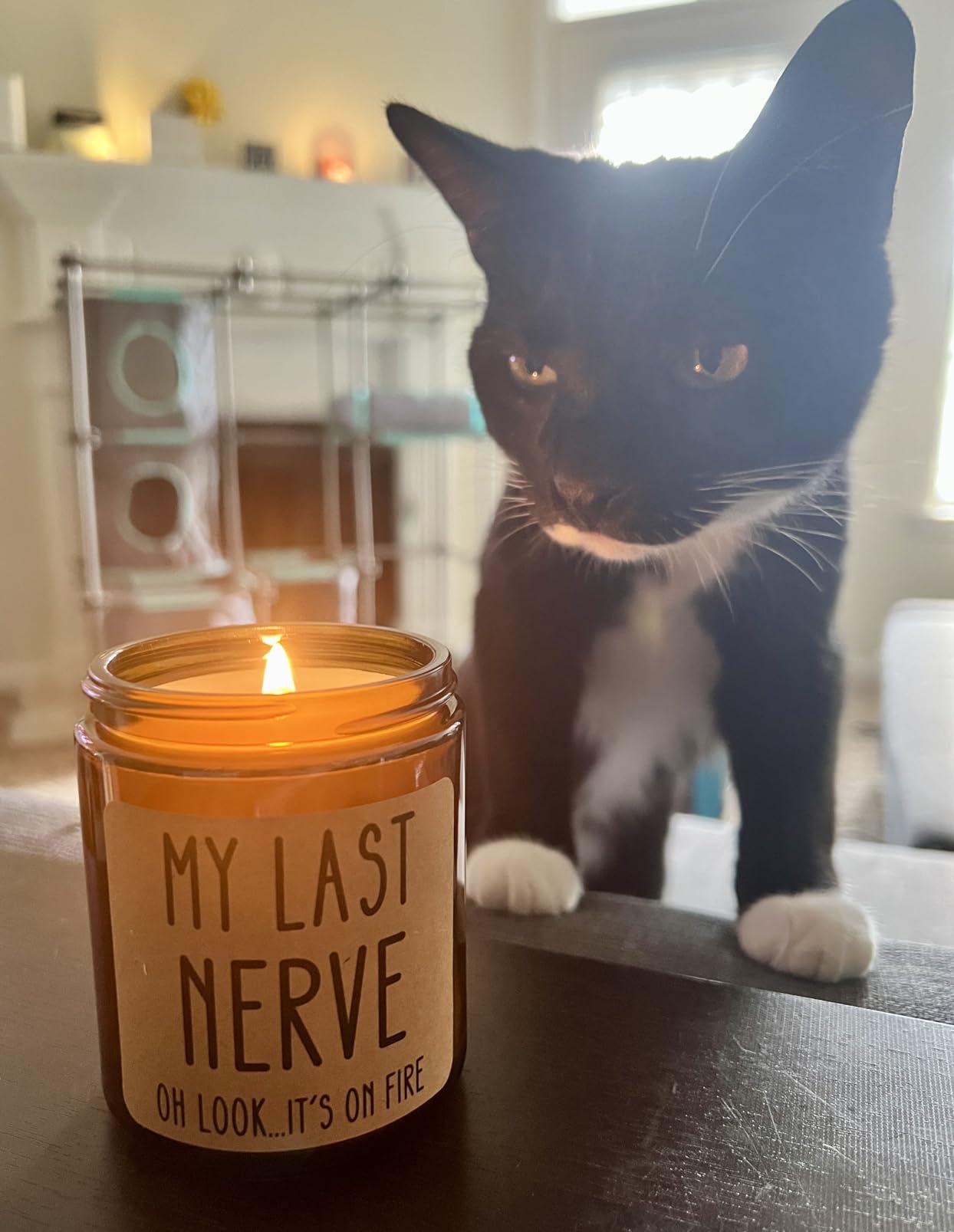 Homsolver Gifts for Women, Funny Friendship Gift for Best Friend - My Last Nerve Lavender Candle - Birthday Christmas Unique White Elephant Stocking Stuffers Gifts for Adults, Women, Her, BFF, Sister - Customer Photo 2