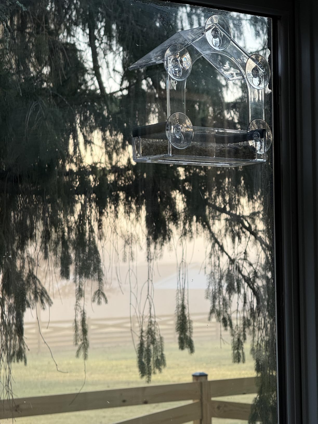 Clear Window Bird Feeder with 5 Extra Strong Suction Cups, DY-SKTY Sturdy and Durable Acrylic Birdfeeders for Viewing Wild Birds Outside, as a Bird Watching Gift, Outdoor Birdhouse Box, Garden Decor - Customer Photo 1