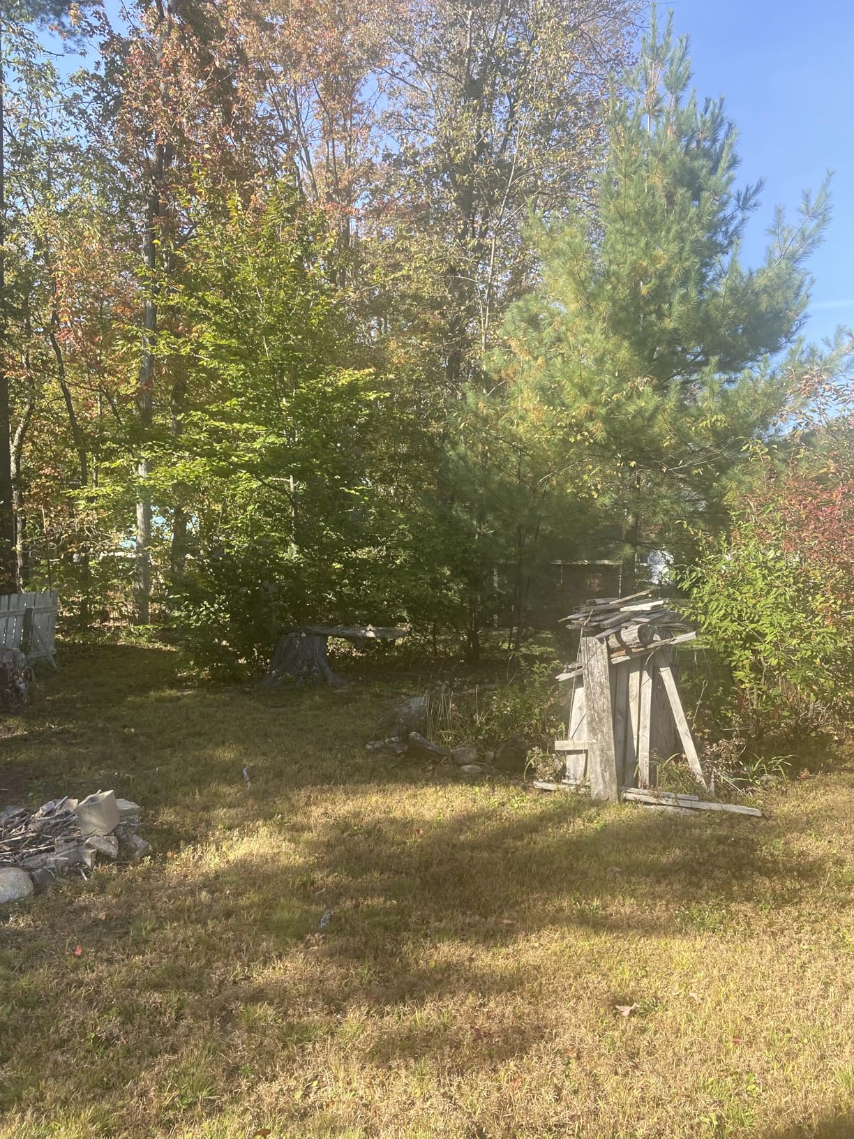 Seesii Mini Chainsaw, 6-inch Mini Chainsaw Cordless, Handheld Electric Power Chain Saw with 2 Batteries, for Tree Trimming Wood Cutting, Best Gifts for Father, Dad, Husband, Men - Customer Photo 2