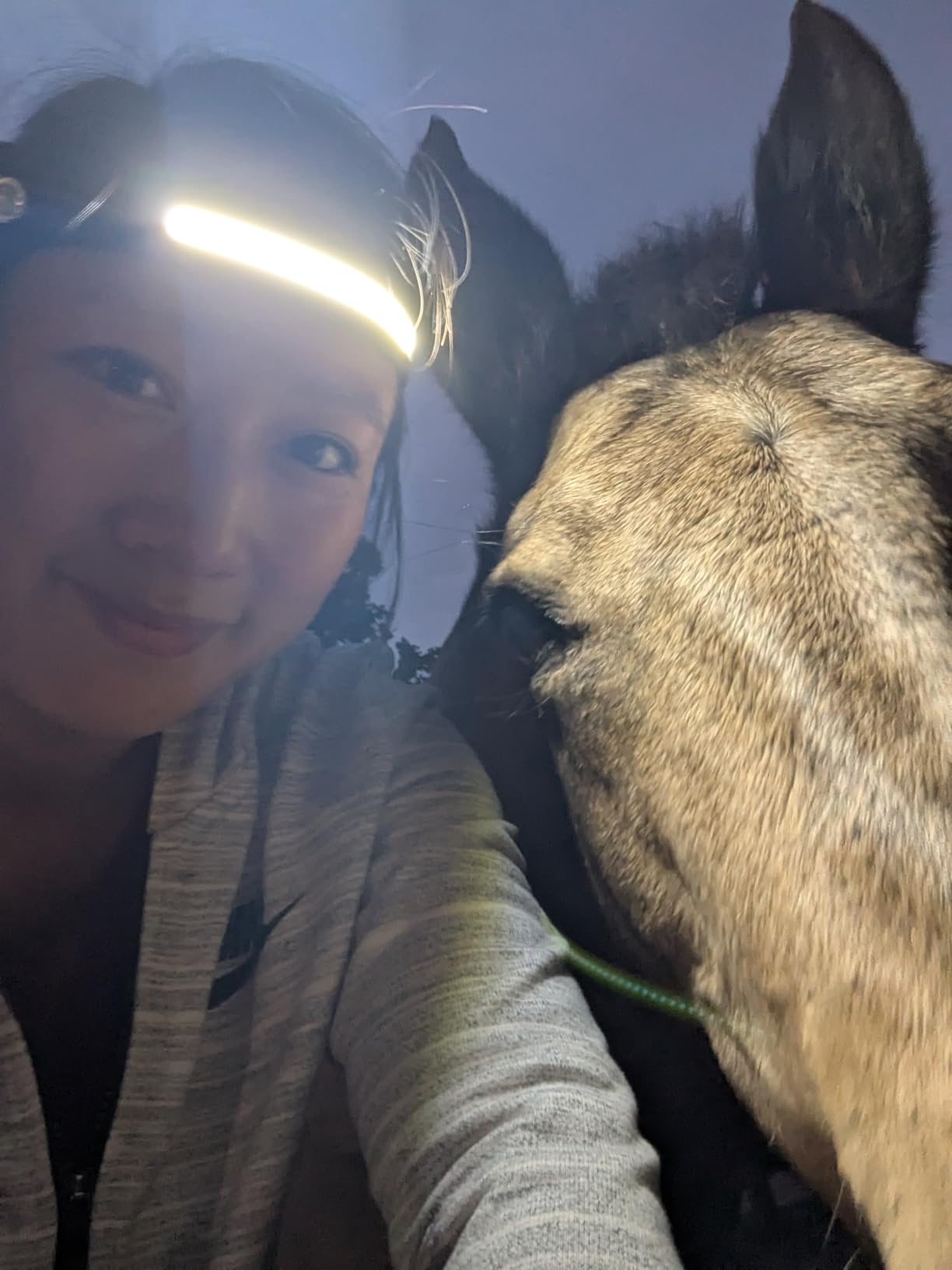 Headlamp Rechargeable 2PCS, 230° Wide Beam Head Lamp LED with Motion Sensor for Adults - Camping Accessories Gear, Waterproof Head Light Flashlight for Hiking, Running, Repairing, Fishing, Cycling Customer Review Headlamp Rechargeable 2PCS, 230° Wide Beam Head Lamp LED with Motion Sensor for Adults - Camping Accessories Gear, Waterproof Head Light Flashlight for Hiking, Running, Repairing, Fishing, Cycling - Customer Photo 1