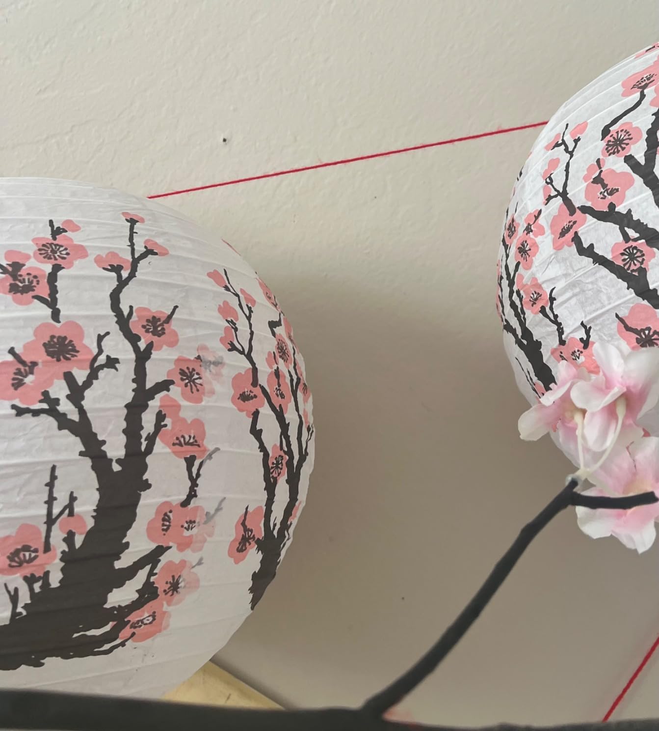 Tallew 12 Pcs Cherry Blossom Decor Set, Including 2 Chinese Japanese Oiled Paper Umbrella, 4 Cherry Blossom Pink Paper Lanterns and 6 Handheld Silk Decorative Folding Fans for Wedding Party Favor - Customer Photo 1