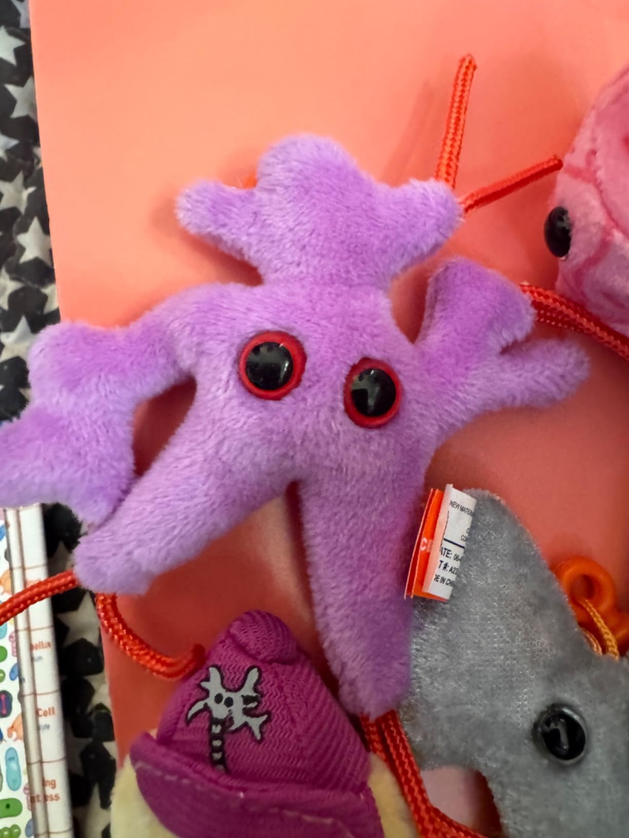 GIANT MICROBES Brain Science Themed Gift Box, Brain Gifts, Neurology, Psychology Gifts, Plush Keychain, Therapist Gift, Bag Charms, Mental Health Awareness, TBI Awareness - Customer Photo 1