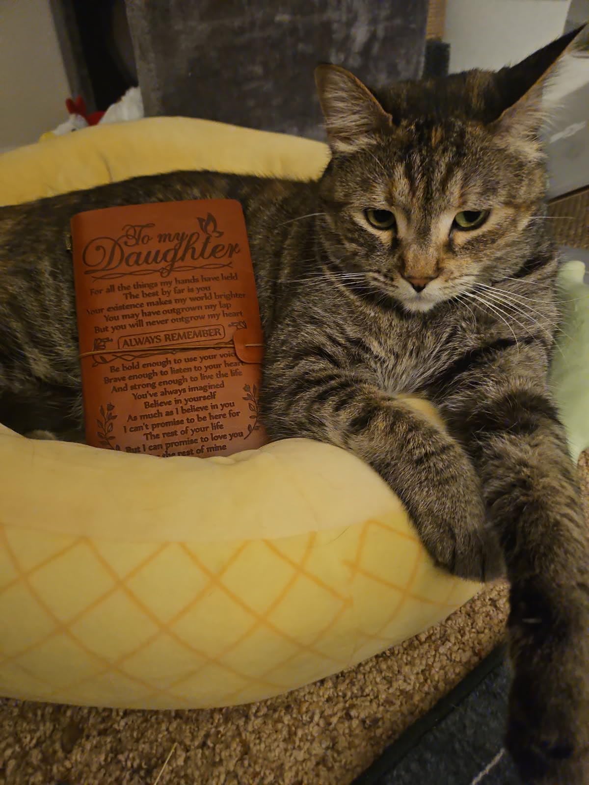 Daughter in Law Gifts from Mother in Law, To My Daughter in Law Leather Journal, 140 Page Refillable Writing Journal, Christmas Birthday Gifts for Daughter in Law for Wedding - Customer Photo 1