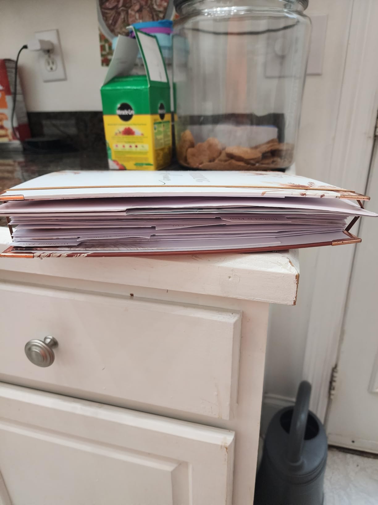 Beautiful Boho Wedding Planner Book and Organizer - Enhance Excitement and Makes Your Countdown Planning Easy - Unique Engagement Gift for Newly Engaged Couples, Future Brides and Grooms,9 X 11 inches - Customer Photo 2