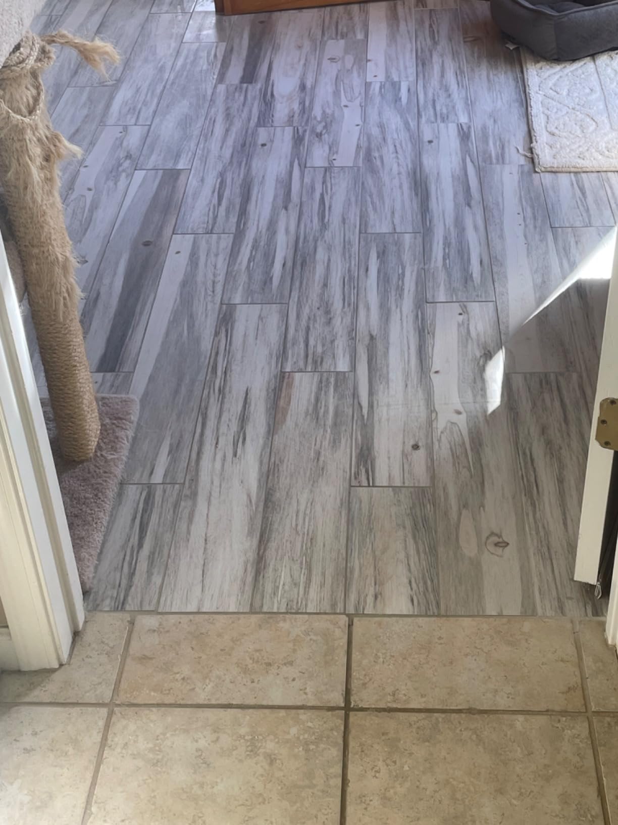 BISSELL® CrossWave® HydroSteam™ Wet Dry Vac, Multi-Purpose Vacuum, Wash, and Steam, Sanitize Formula Included, 35151 - Customer Photo 1