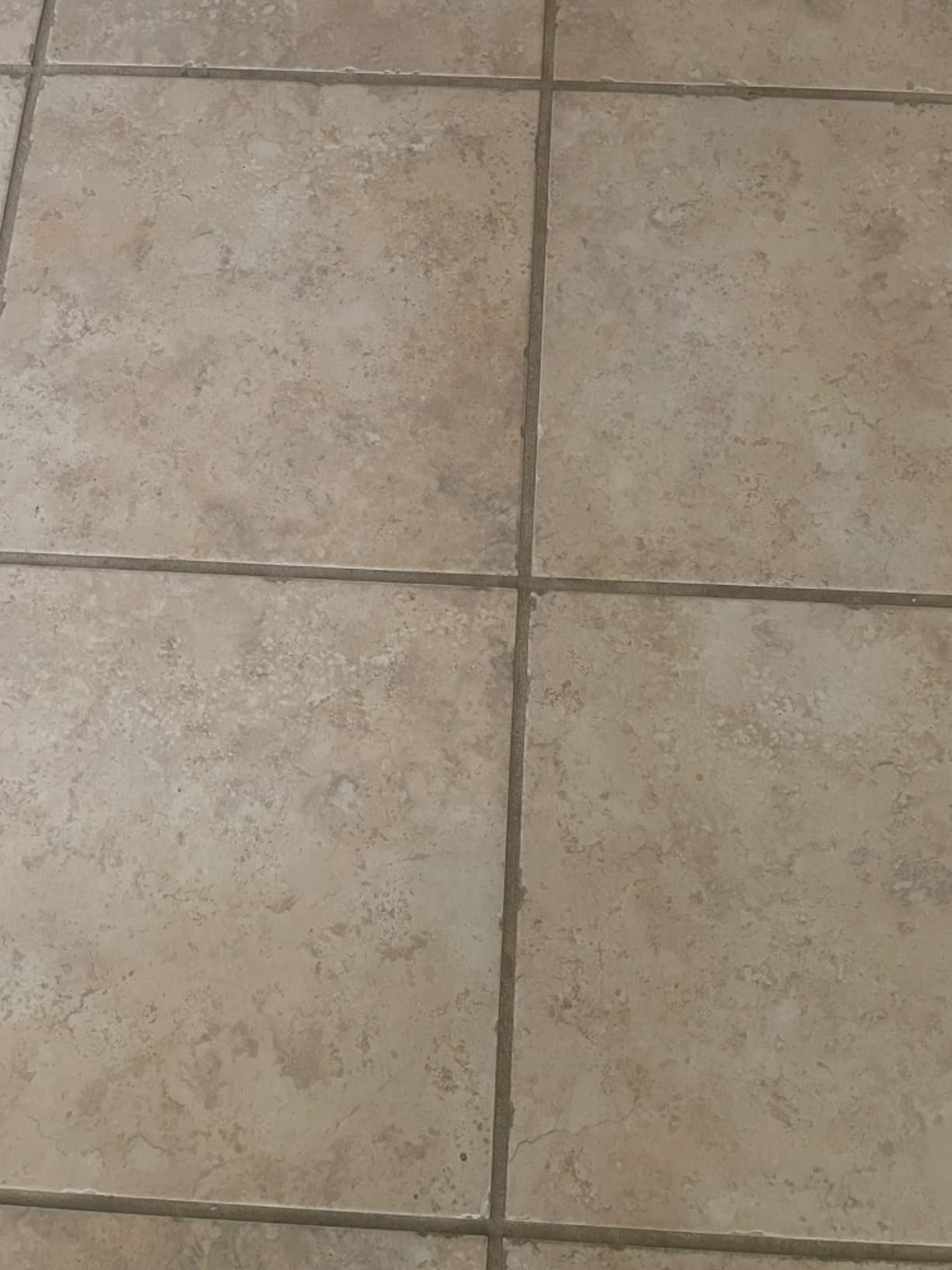 BISSELL® CrossWave® HydroSteam™ Wet Dry Vac, Multi-Purpose Vacuum, Wash, and Steam, Sanitize Formula Included, 35151 - Customer Photo 3