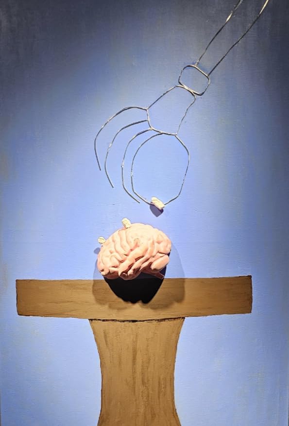 Cross Section Foam Brain Model, Great Educational Tool for Learning & Teaching Human Anatomical Function, Psychology, Biology or Science, Easy to Use & Includes 2 Half Pieces Labeled with Figures - Customer Photo 1