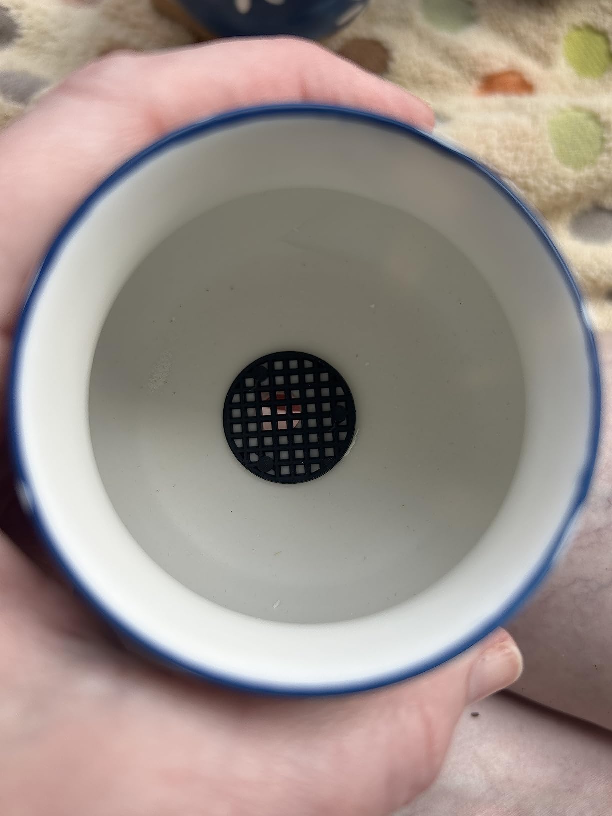 YINUOWEI Elephant Planter Cartoon Succulent Pots with Drainage 5.31 Inch Animal Planter Cute Plant Pots Succulent Planter Container Ceramic Flower Pots Perfect for Home Decor and Gifts, Set of 4 - Customer Photo 2