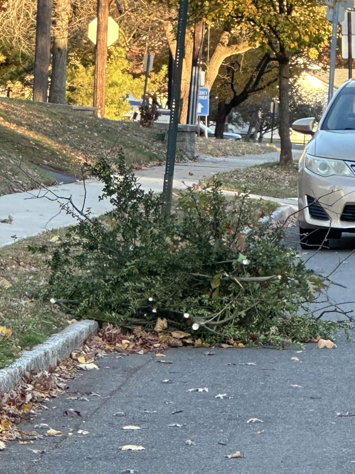 Tietoc Chainsaw 6 Inch Mini Electric Chainsaw Cordless Battery Powered, Hand Held Saw for Wood/Trees Trimming, Sawzall for Household and Garden, Stocking Stuffers Gift for Men Dad Husband Gadget 2025 - Customer Photo 1