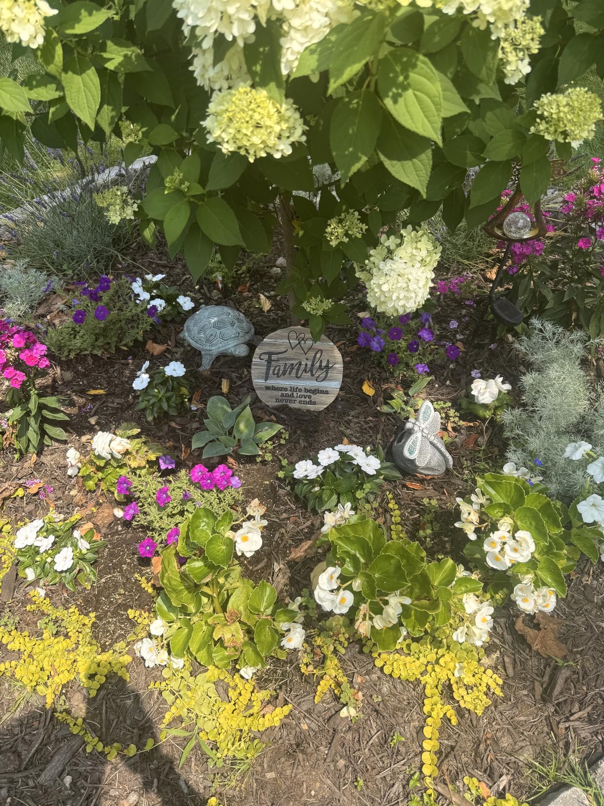 Garden Statue Dragonfly,Solar Dragonfly Decor for Outdoor,Resin Dragonflies Figurine with Solar Light for Patio,Balcony,Yard,Lawn Ornament,Perfect Garden Gift - Customer Photo 4