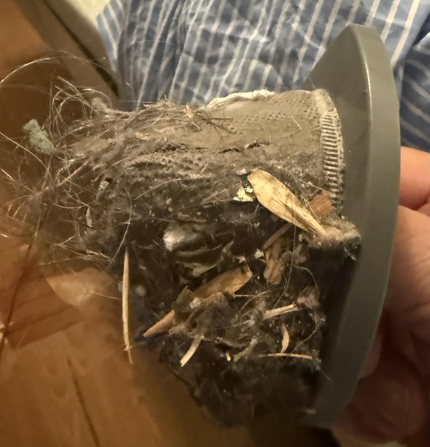 Bissell CleanView XR 200W Lightweight Cordless Vacuum w/Removable Battery, 35-min runtime, Tangle-Free Brush Roll, LED Lights, XL Tank, Dusting & Crevice Tool, Wall Mount, 3789U - Customer Photo 2