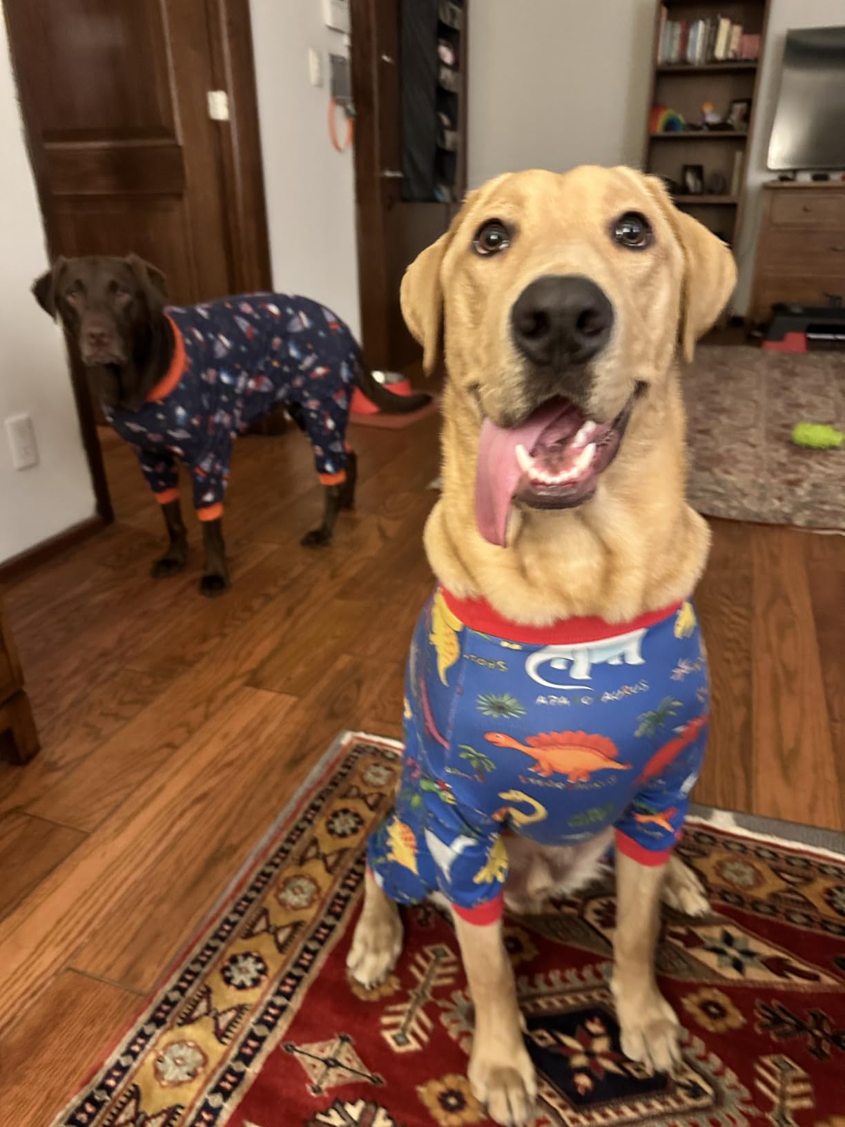 PUDDING CABIN Cat Mom Gifts for Women, Cat Ring Holder for Jewelry, Jewelry Tray Dish Rings Bracelets Earrings Trinket Tray, Cat Gifts for Cat Lovers Mother's Day Birthday Wedding Christmas Gifts - Customer Photo 2