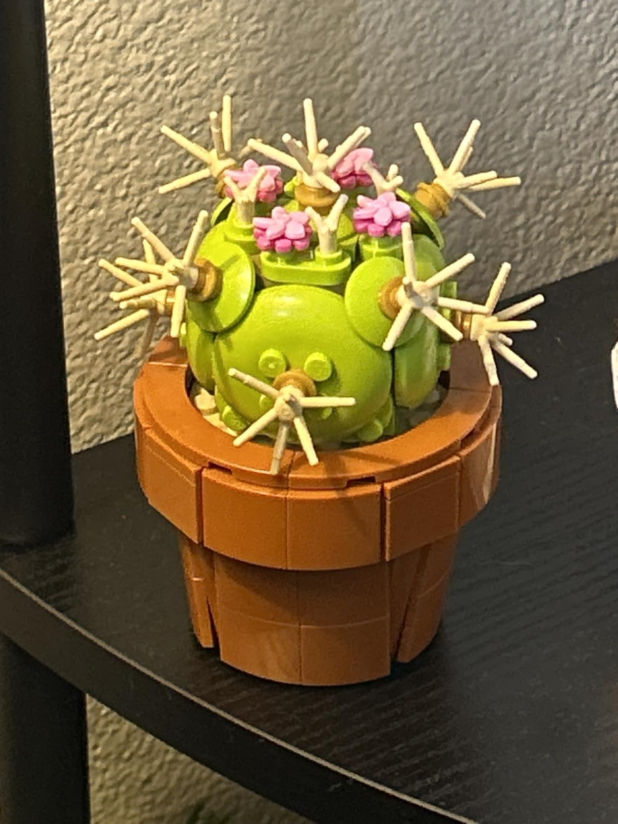 LEGO Botanicals Tiny Plants - Artificial, Fake Indoor Plant Building Set for Home, Kitchen, Desk Decoration, Adults Ages 18+ - Gift for Birthdays - 10329 - Customer Photo 3