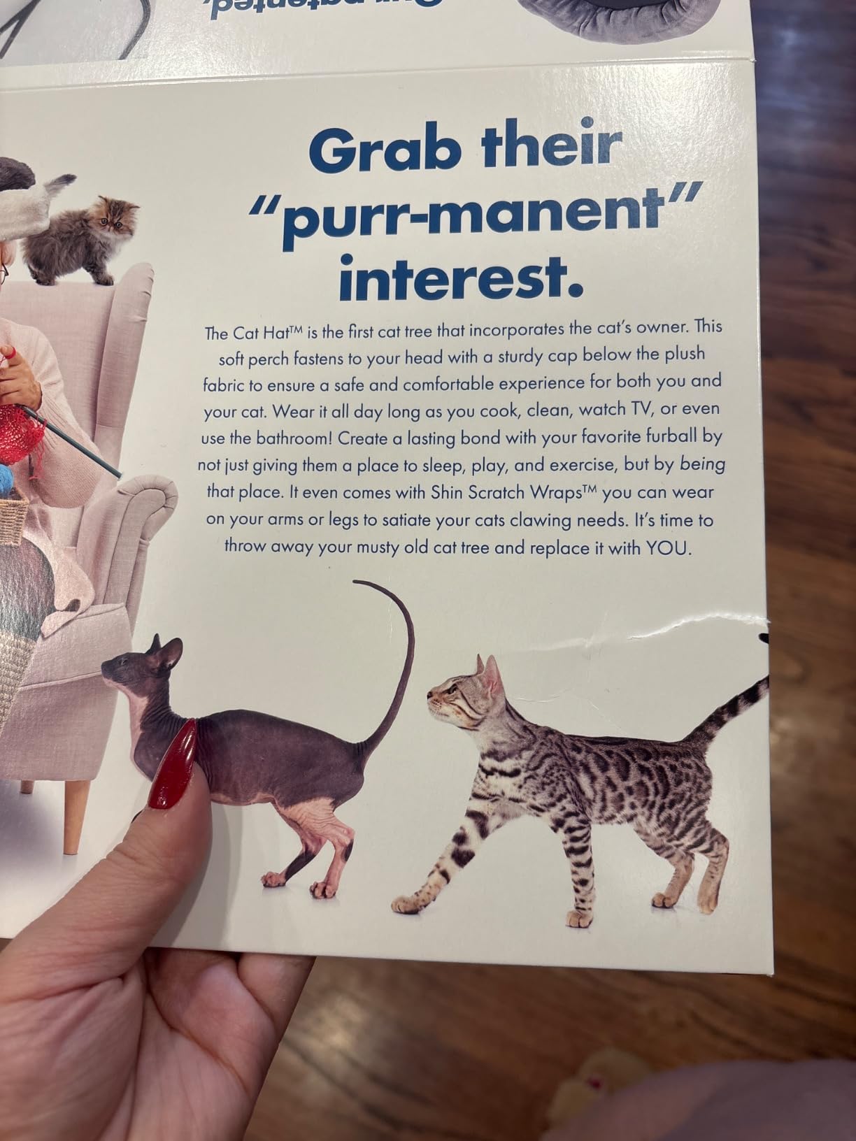 Cat Hat Prank Gift Box, Funny Christmas Gifts, Empty Authentic Prank-O Gag Present Box, Perfect Novelty Gifting Box for Pranksters, Holiday Gag Gifts for Christmas Presents - Customer Photo 1