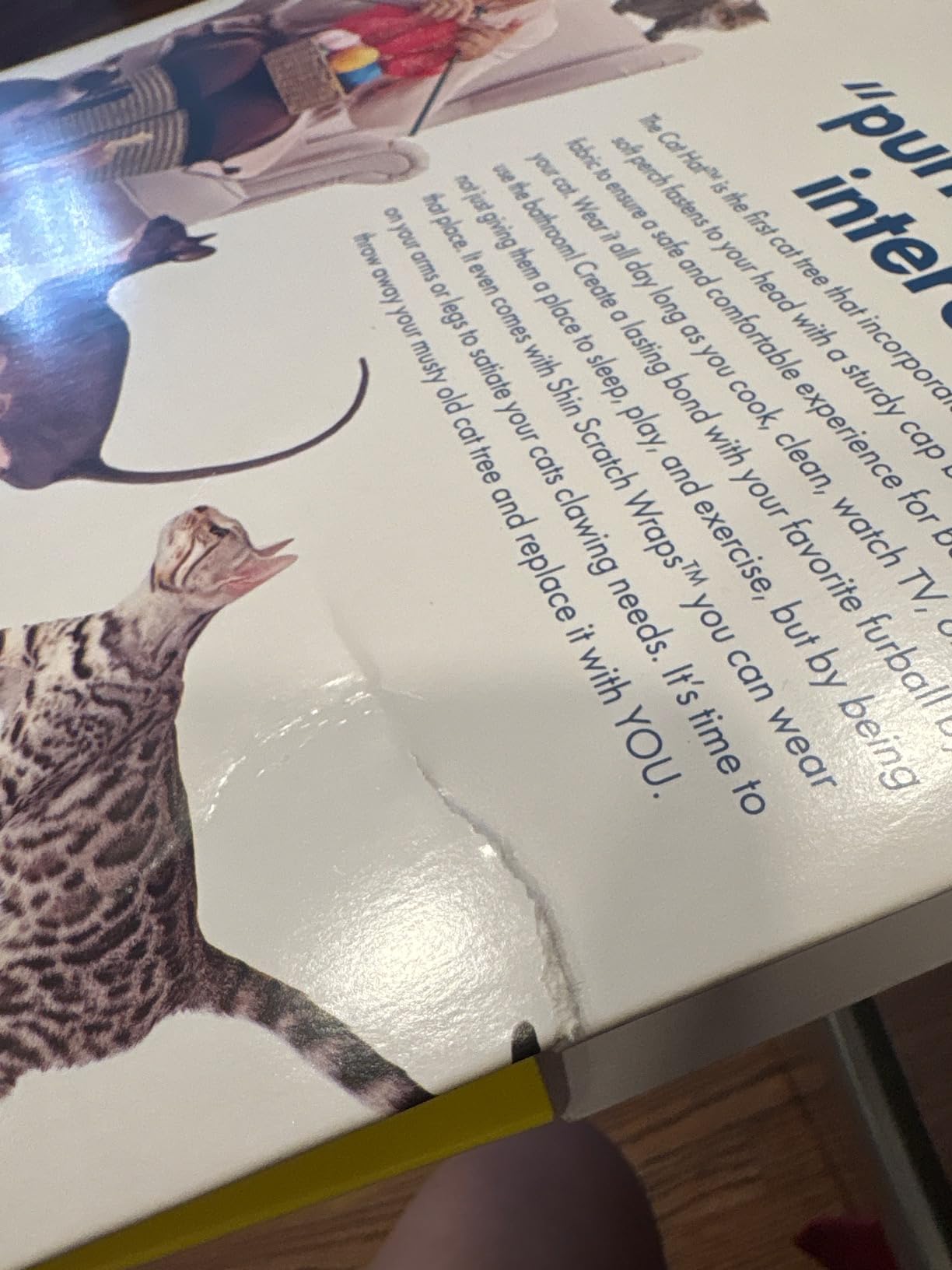 Cat Hat Prank Gift Box, Funny Christmas Gifts, Empty Authentic Prank-O Gag Present Box, Perfect Novelty Gifting Box for Pranksters, Holiday Gag Gifts for Christmas Presents - Customer Photo 2