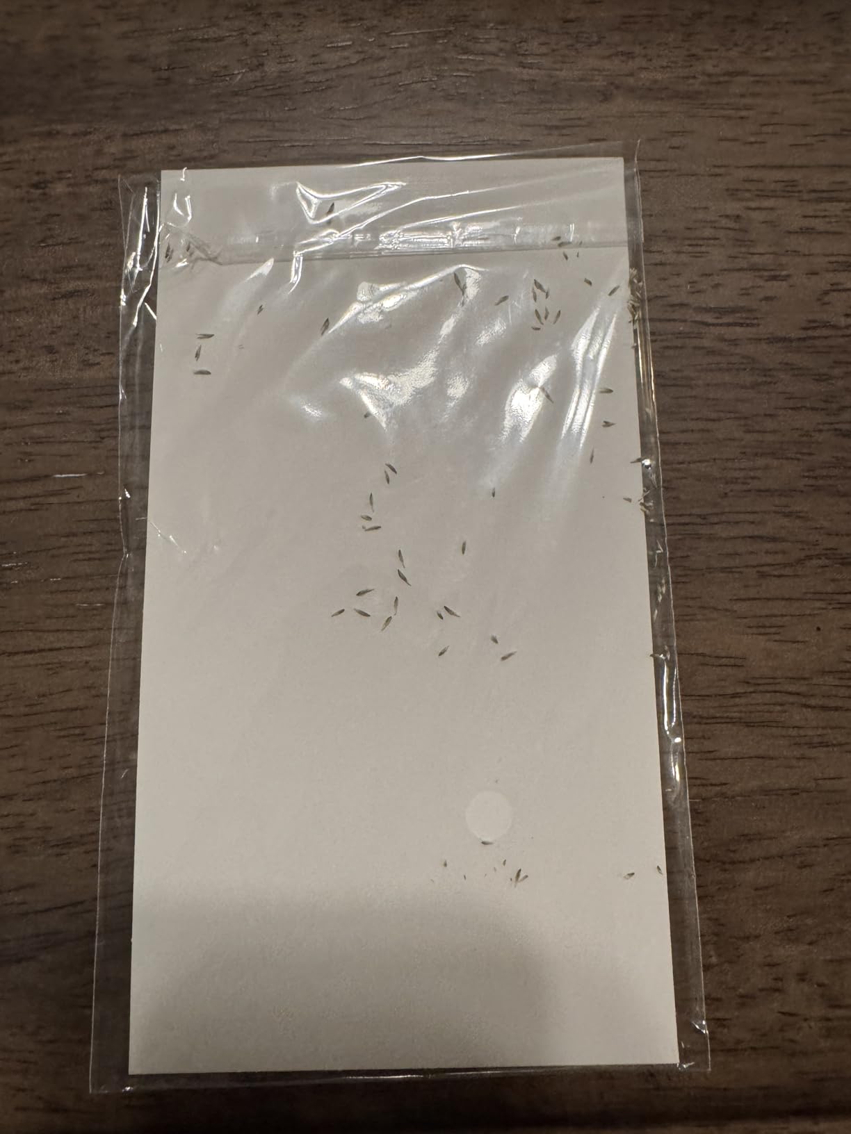 Best Friend Birthday Gifts for Women Friendship Gifts for Women Friends Unique Bestfriend Birthday Gift for Woman Bestfriend gift Ideas for Bestie BFF Soul Sister - Mug, Keychain, Candle, Bracelet - Customer Photo 2