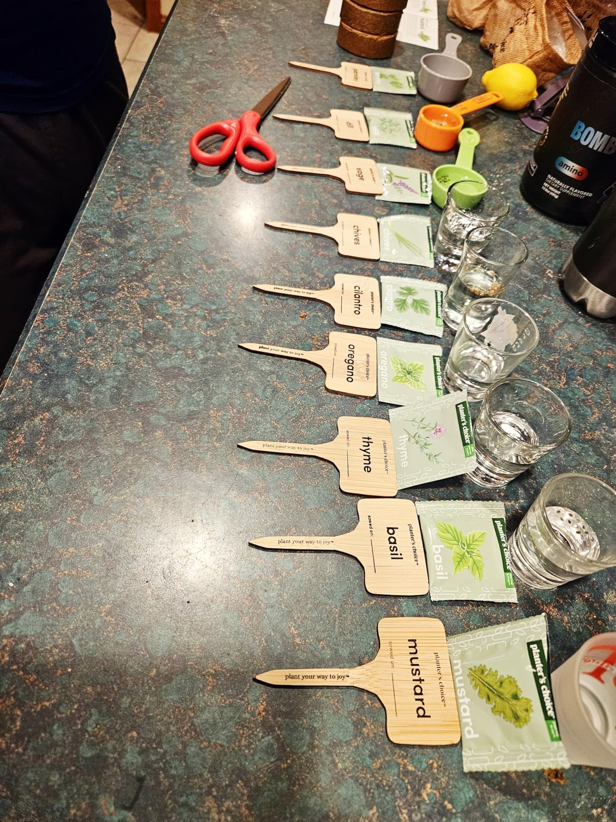 Planters' Choice 9 Herb Indoor Window Garden Kit - House Plants Seeds - Best Unique Christmas Gift Ideas for Women, Mom, Friend, Her, Birthday, Housewarming, Mother - New Home Kitchen Gifts - Customer Photo 2