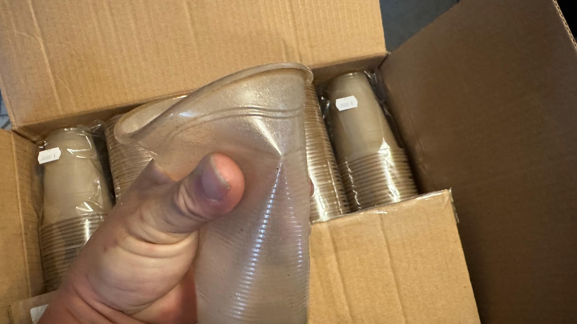 Sustainable Agave Co - Sweet Agave Fiber Cups - 12 Ounce - 100 Count - Plant-Based, Made With Upcycled Materials - Clear Customer Review Sustainable Agave Co - Sweet Agave Fiber Cups - 12 Ounce - 100 Count - Plant-Based, Made With Upcycled Materials - Clear - Customer Photo 2