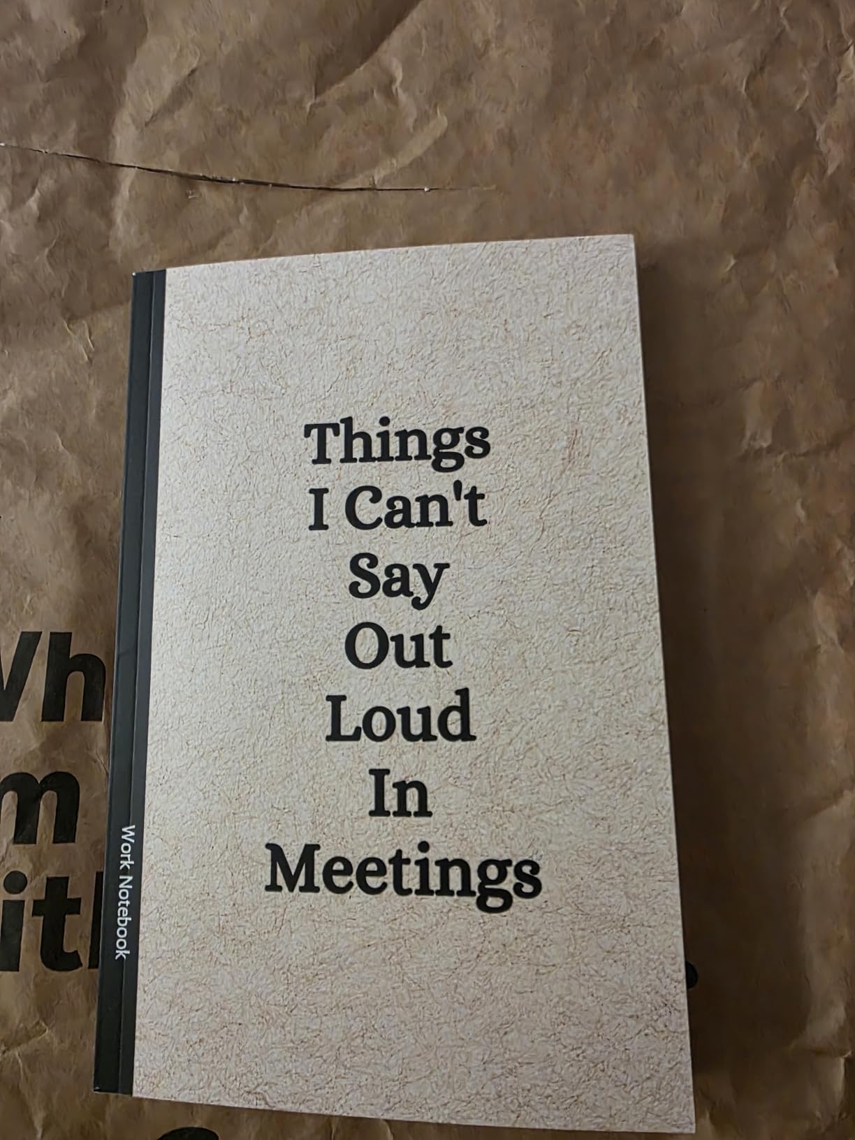 Things I Can't Say Out Loud In Meetings: Funny Notebook for Work, Gag Gift, Boss, Office, Secret Santa Gift for Coworker (Lined Journal with Quotes) - Customer Photo 1