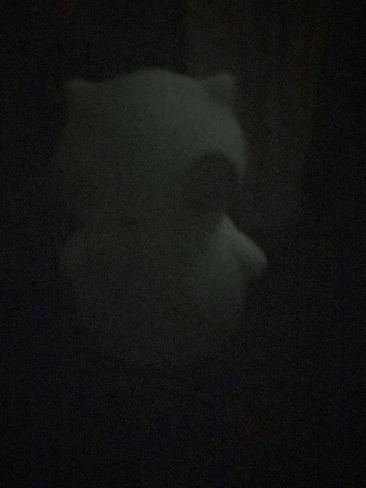 Bobs Burgers Kuchi Kopi Glow in The Dark 6'' Vinyl Figure - Customer Photo 1