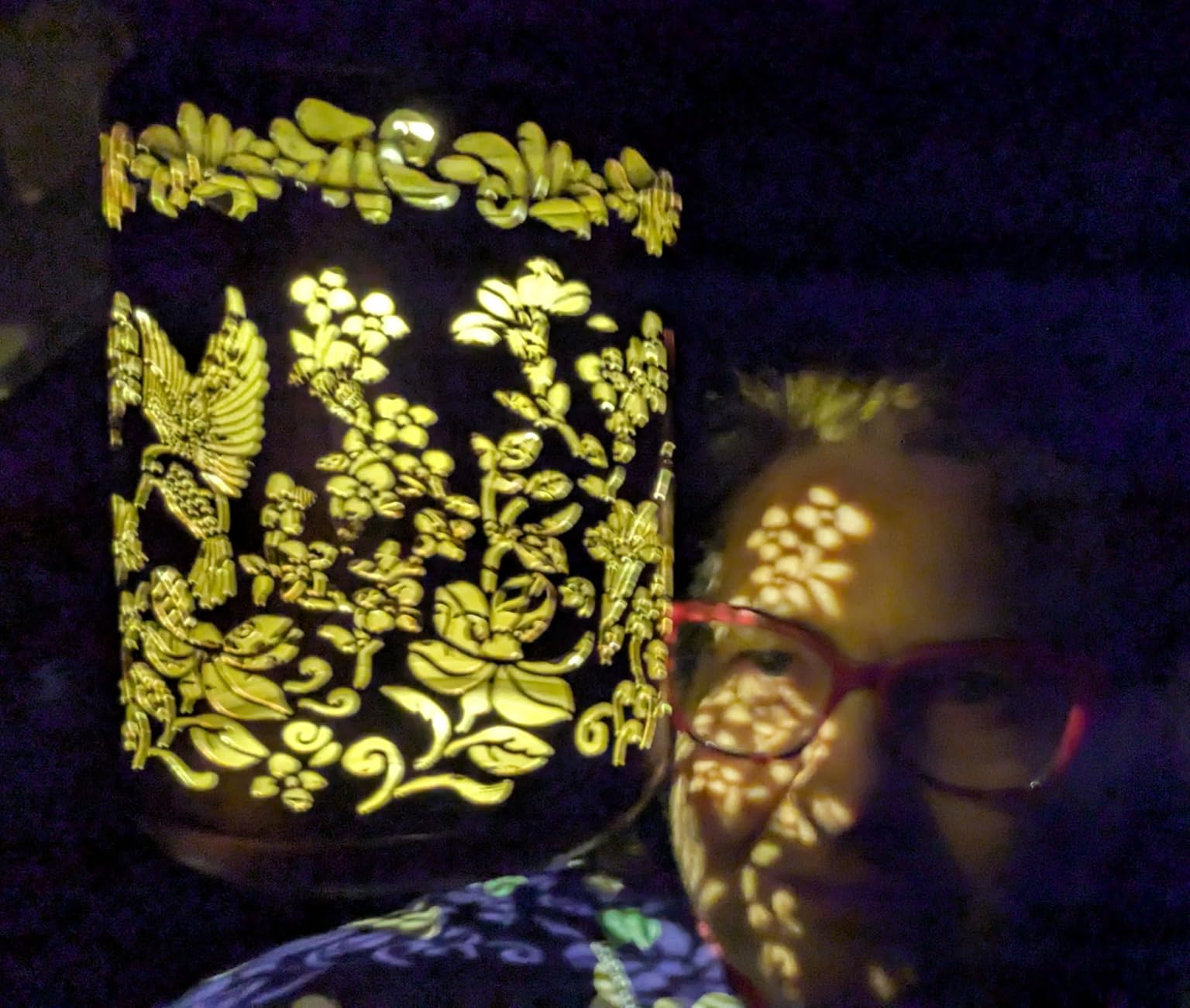 Solar Lanterns Outdoor Waterproof Hummingbird Garden Decor Gifts for Women Mom Grandma Hanging Solar Lights Metal Solar Decoration Outside for Yard, Patio, Backyard, Porch Customer Review Solar Lanterns Outdoor Waterproof Hummingbird Garden Decor Gifts for Women Mom Grandma Hanging Solar Lights Metal Solar Decoration Outside for Yard, Patio, Backyard, Porch - Customer Photo 1