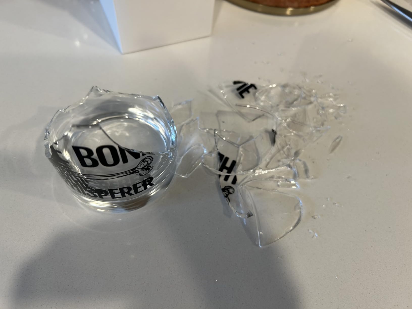 RZHV The Bone Whisperer Old Fashioned Whiskey Glass, Funny Father's Day Anniversary Birthday Gift for Men Husband Dad Friends Coworkers Anthropologist Forensics Orthopedic Surgeon Physician Doctor - Customer Photo 1