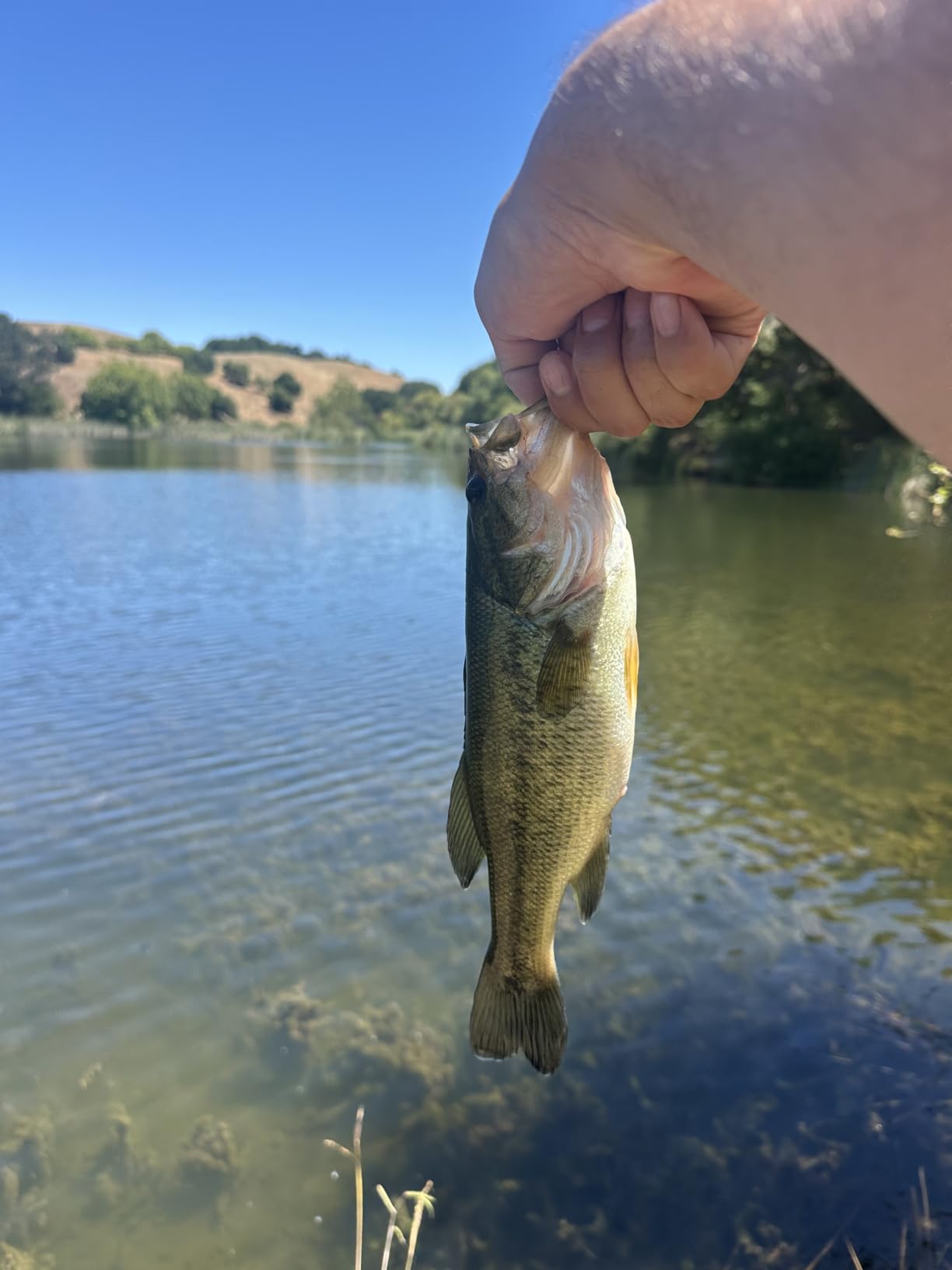 PLUSINNO Fishing Lures, 137Pcs Tackle Box with Tackle Included, Crankbaits, Spoon, Hooks, Weights & Other Accessories, Fishing Bait Lure Gear Kit Gift for Men Bass Freshwater - Customer Photo 2