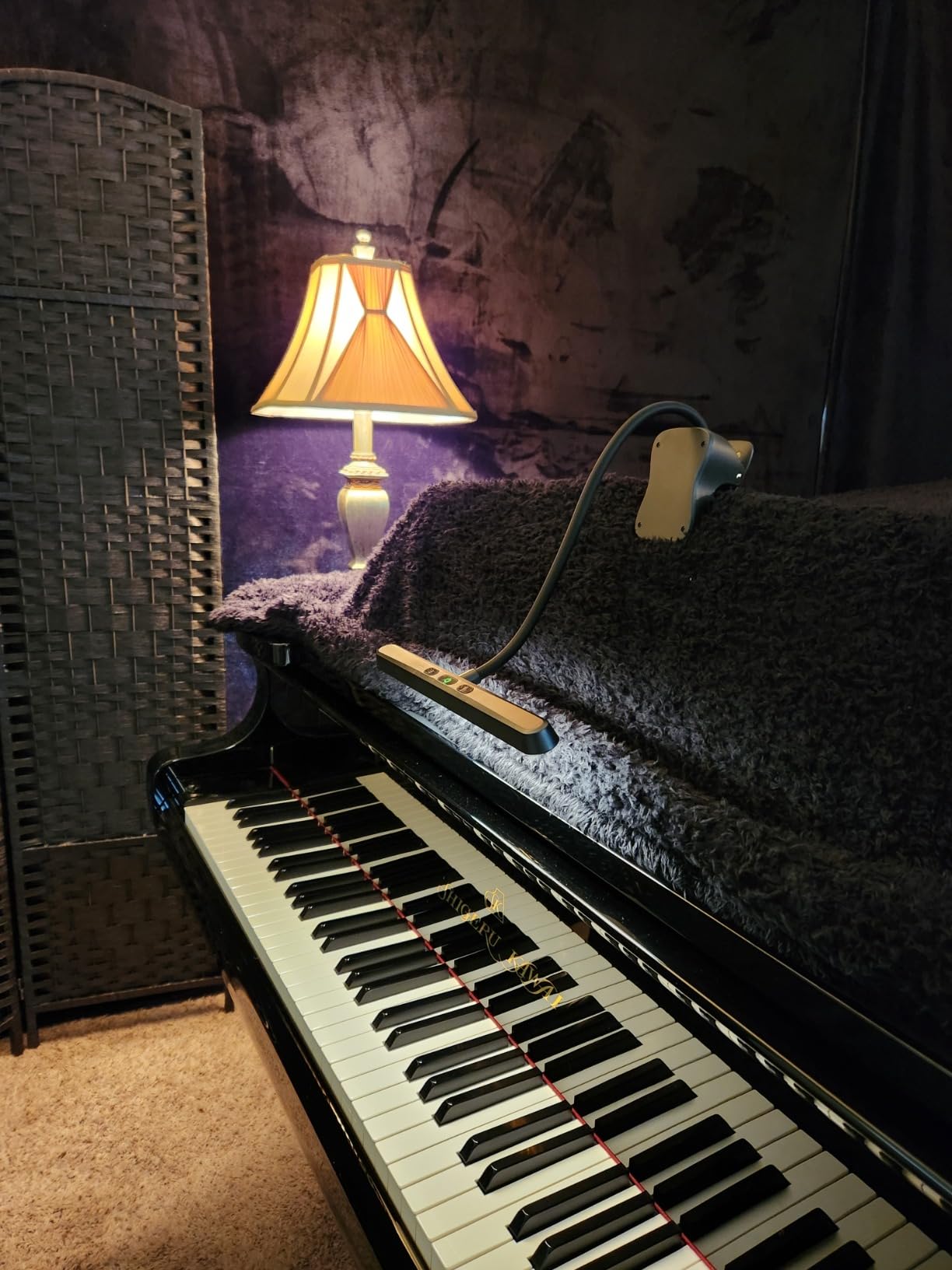 Glocusent Music Stand Light: 57 LED Super Bright Piano Light with EVA Carrying Case, 3 Color & 5 Brightness, Rechargeable & 140-Hr Long Lasting, Perfect for The Piano, Sheet Music - Customer Photo 2