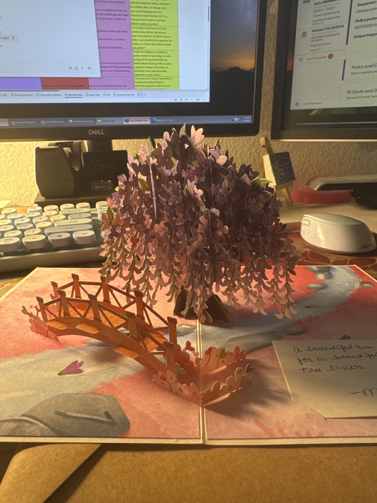 Paper Love Frndly, Festive Flower Box 3D Pop Up Card, For All Occasions, Birthday, Anniversary, Thank You, Get Well or Just Because, Handcrafted - 100% Recycled and Eco-Friendly, 10 Inch Bouquet - Customer Photo 1