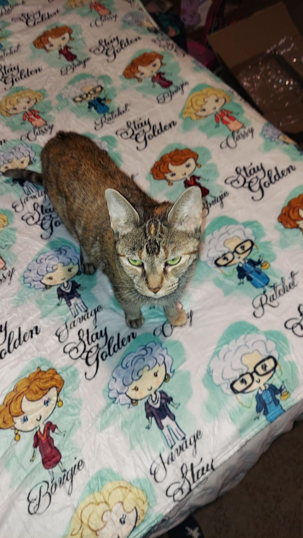 Golden Girls Blanket Gifts 60x50 Throw Blanket Lightweight Golden Girls Merchandise for Couch Bed Sofa Car - Customer Photo 1