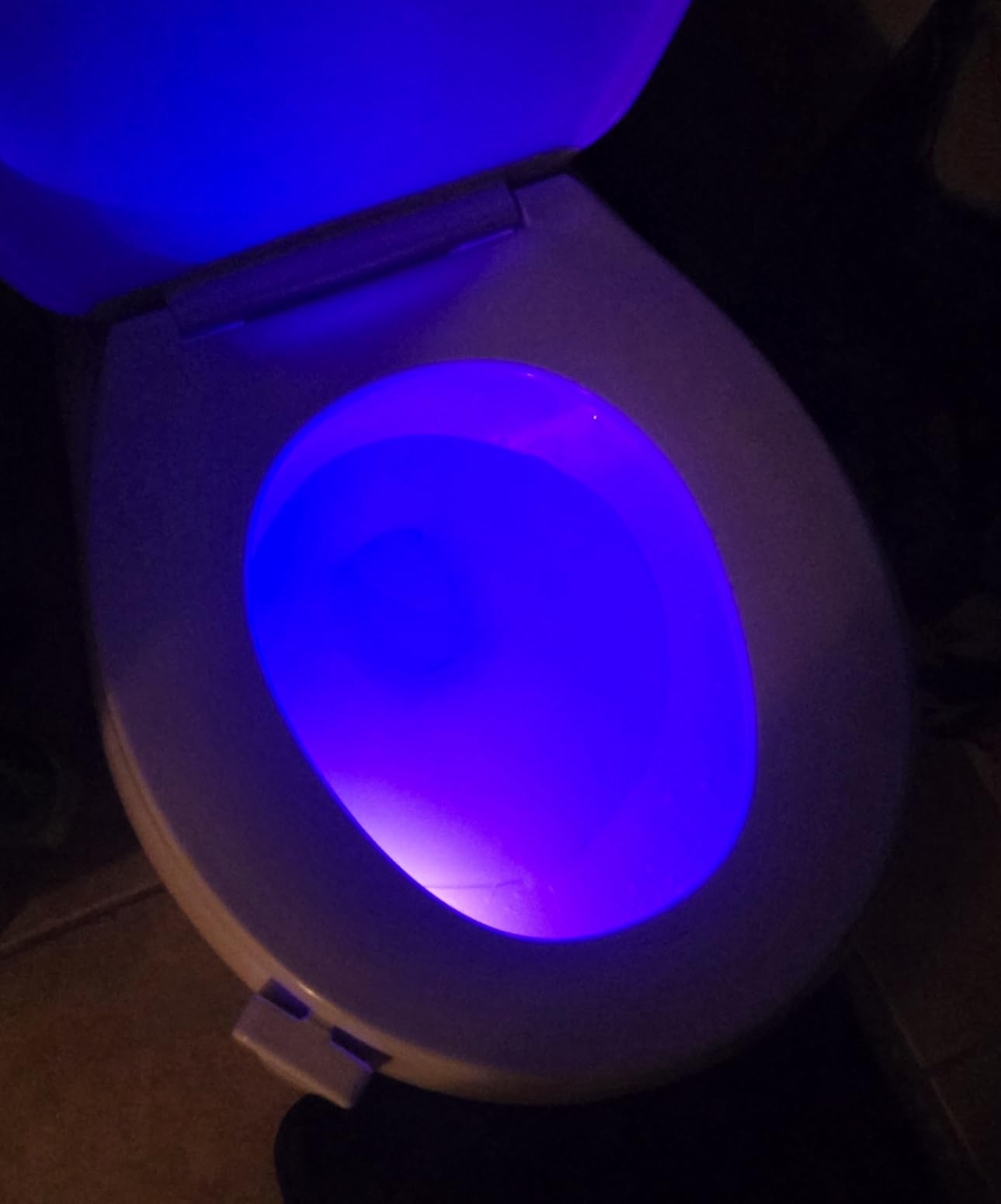 Mind-Glowing Toilet Bowl Night Light with Motion Sensor, Color Changing LED and Dimmer - Funny Christmas Gag Gift for Men, Women, Dad, Mom - 2025 Stocking Stuffers for Him, Her - White Elephant Gift Customer Review Mind-Glowing Toilet Bowl Night Light with Motion Sensor, Color Changing LED and Dimmer - Funny Christmas Gag Gift for Men, Women, Dad, Mom - 2025 Stocking Stuffers for Him, Her - White Elephant Gift - Customer Photo 1
