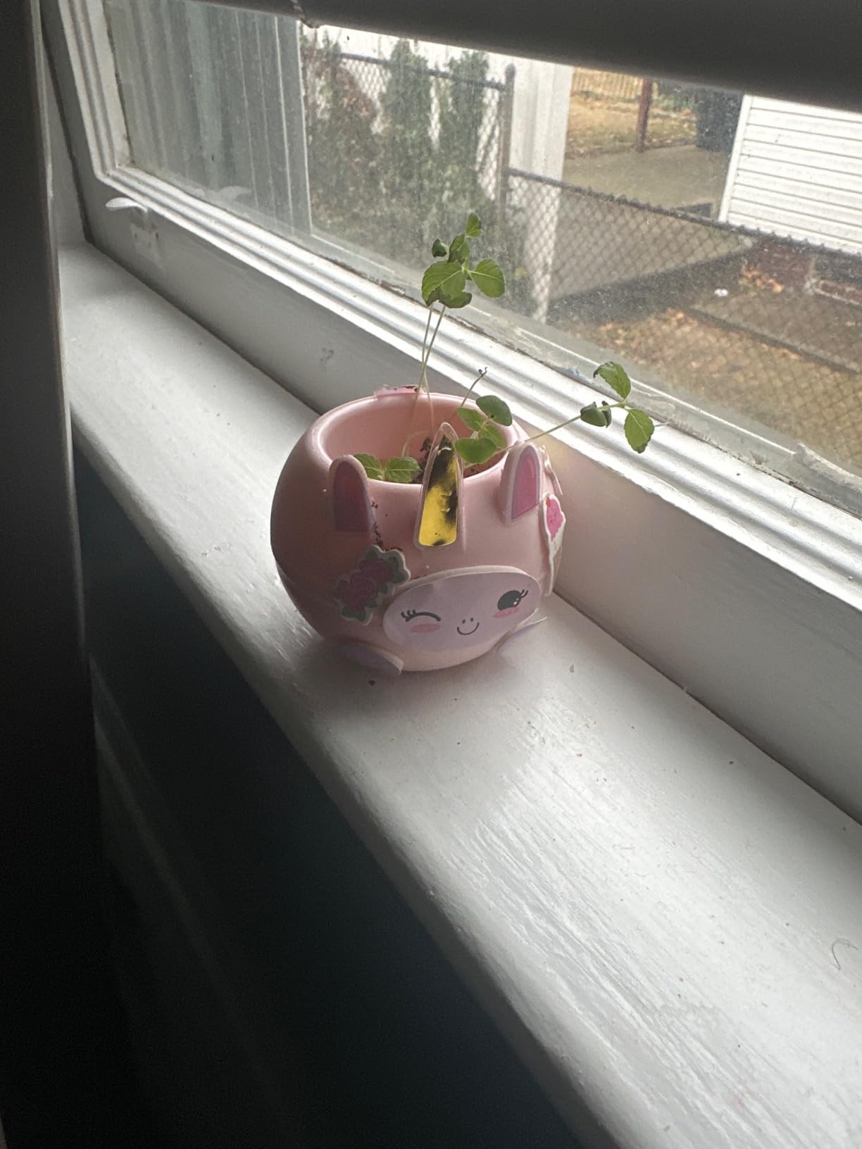 Creativity for Kids Plant-A-Pet: Kitty - Arts and Crafts for Kids, Gifts for Girls and Holiday Stocking Stuffers for Kids, Boy and Girl Toys, Chia Seed Plant Pet (Ages 6+) - Customer Photo 2