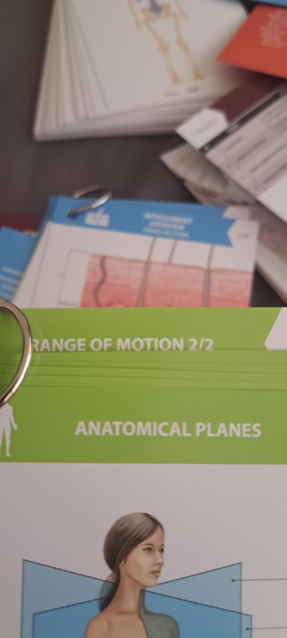 TribeRN Anatomy and Physiology Flash Cards – 320 Study Resources for Students – Human Anatomy & Physiology Study Tools – Medical, Nursing School Essentials – Durable & Easy to Use Flashcards - Customer Photo 1