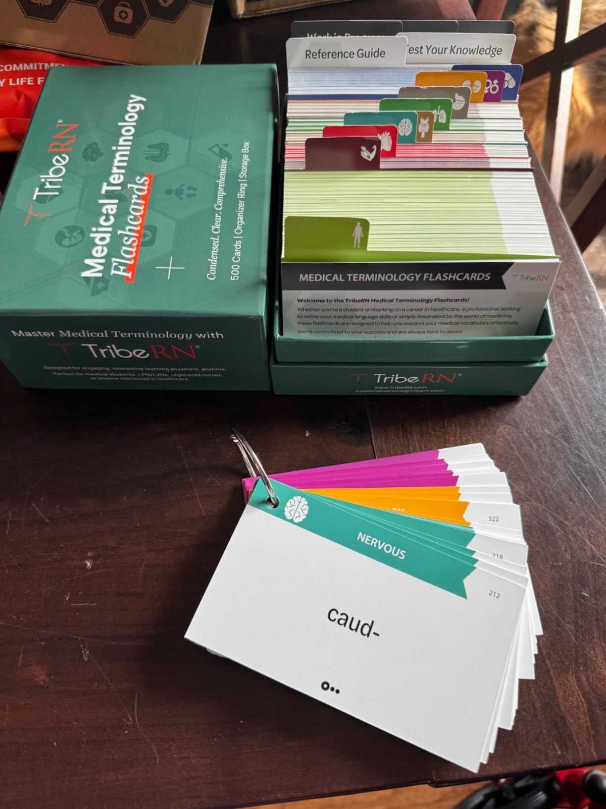 TribeRN Anatomy and Physiology Flash Cards – 320 Study Resources for Students – Human Anatomy & Physiology Study Tools – Medical, Nursing School Essentials – Durable & Easy to Use Flashcards - Customer Photo 2