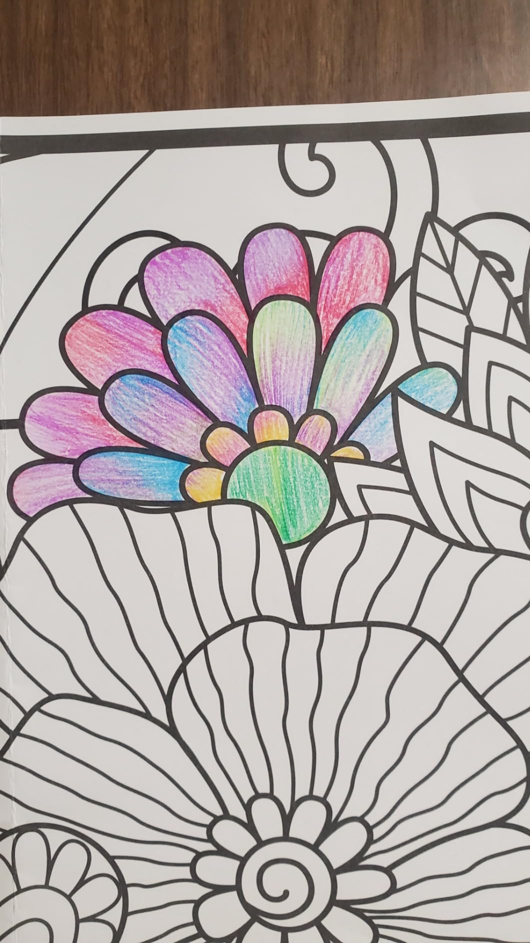 Stocking Stuffers for Kids, Art Supplies Teen Girl Boys Gifts Trendy Stuff 12 Colored Rainbow Pencils, Valentines for Kids Adults, Birthday Party Favors Arts and Crafts Easter Basket for 8-12 Year Old - Customer Photo 2