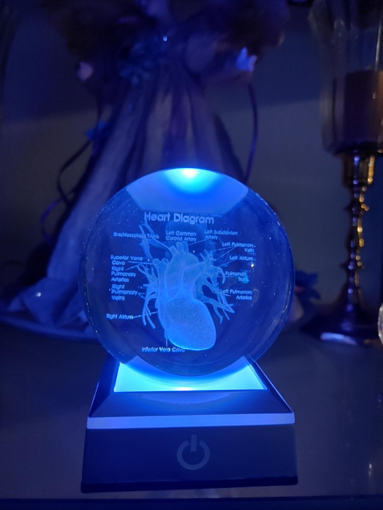 3D Human Brain 3.15 in. Crystal Ball Doctor Psychology Graduation Gifts for Him Her, Etched Anatomy Model Neurology with LED Light Base for Pharmacist Paramedic - Customer Photo 1
