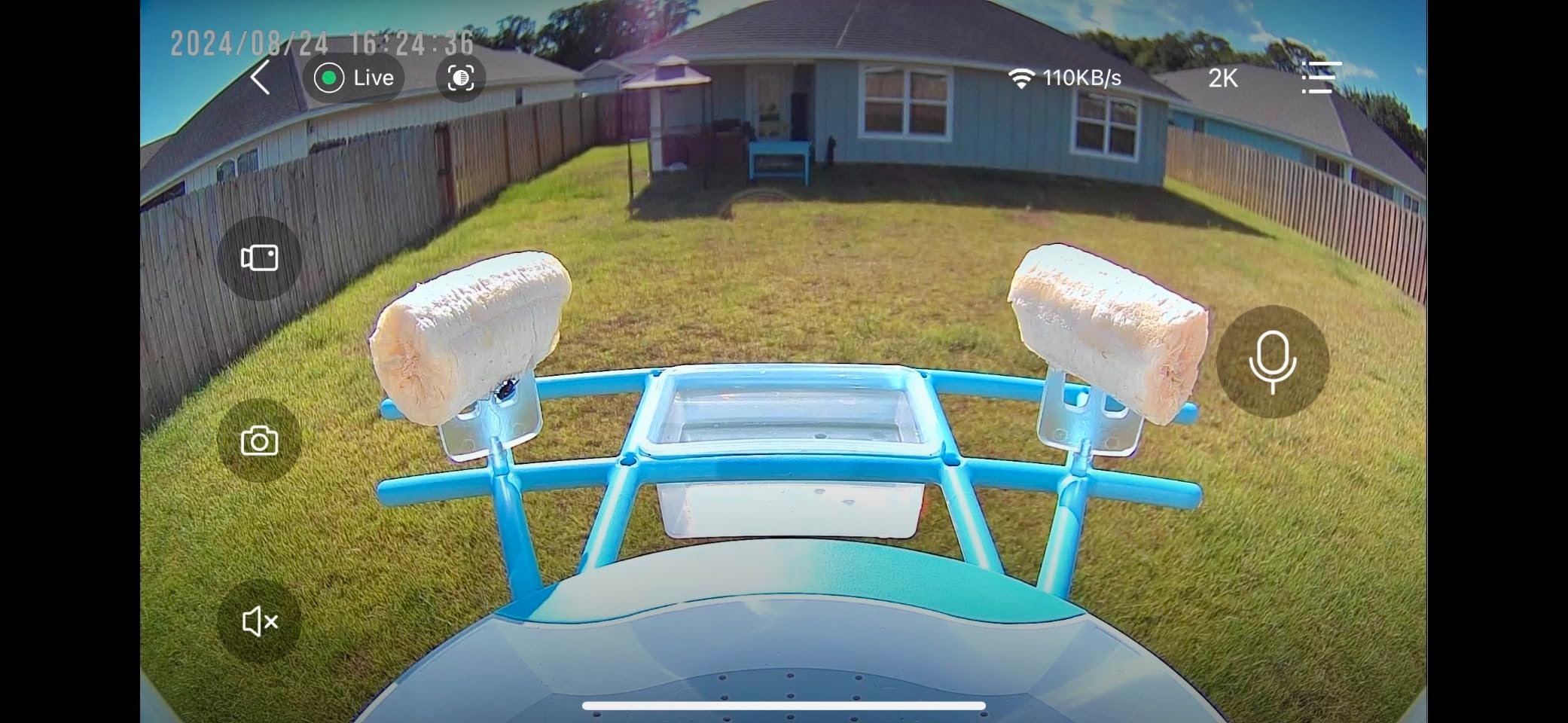 Aomeisi A6 AI Bird Feeder with 2K Solar Camera Squirrel Feeder Bird Identify Hummingbird attractant Motion Detection Two Way Audio SD Slot Gift for Bird Photography Bird Lover - Customer Photo 2