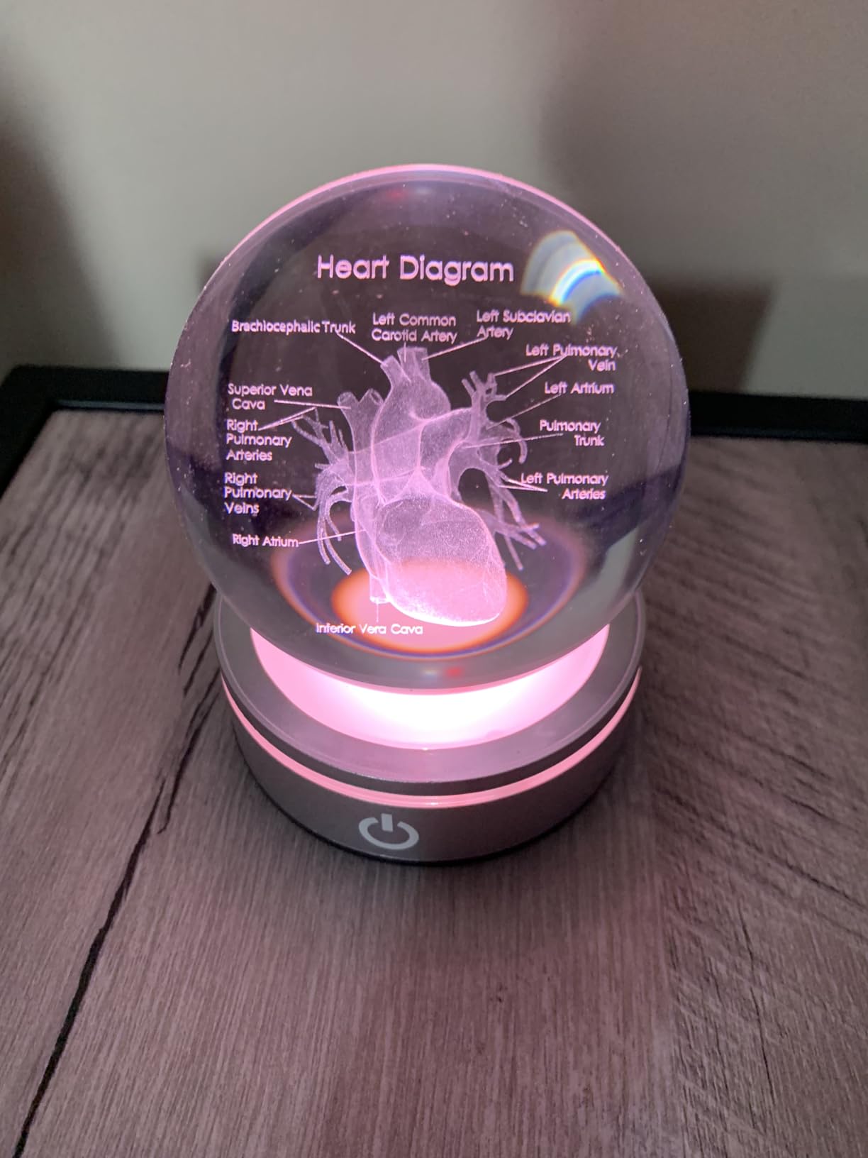 Enjinkail Brain Gifts for Neurologist, Laser Ethced Human Brain Anatomical Model 3D Crystal Ball, Brain Surgery Gifts for Doctors, Physiology Graduation Gifts for Medical Students for Christmas - Customer Photo 2