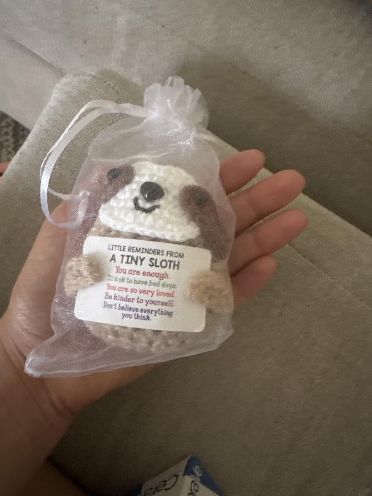 MBL Christmas Stocking Stuffers for Women - Inspirational Emotional Positive Support Funny Small Cute Gag Crochet Sloth Turtle Pickle Taco Birthday Xmas Gift for Coworker Boss Her Him College Friend - Customer Photo 1