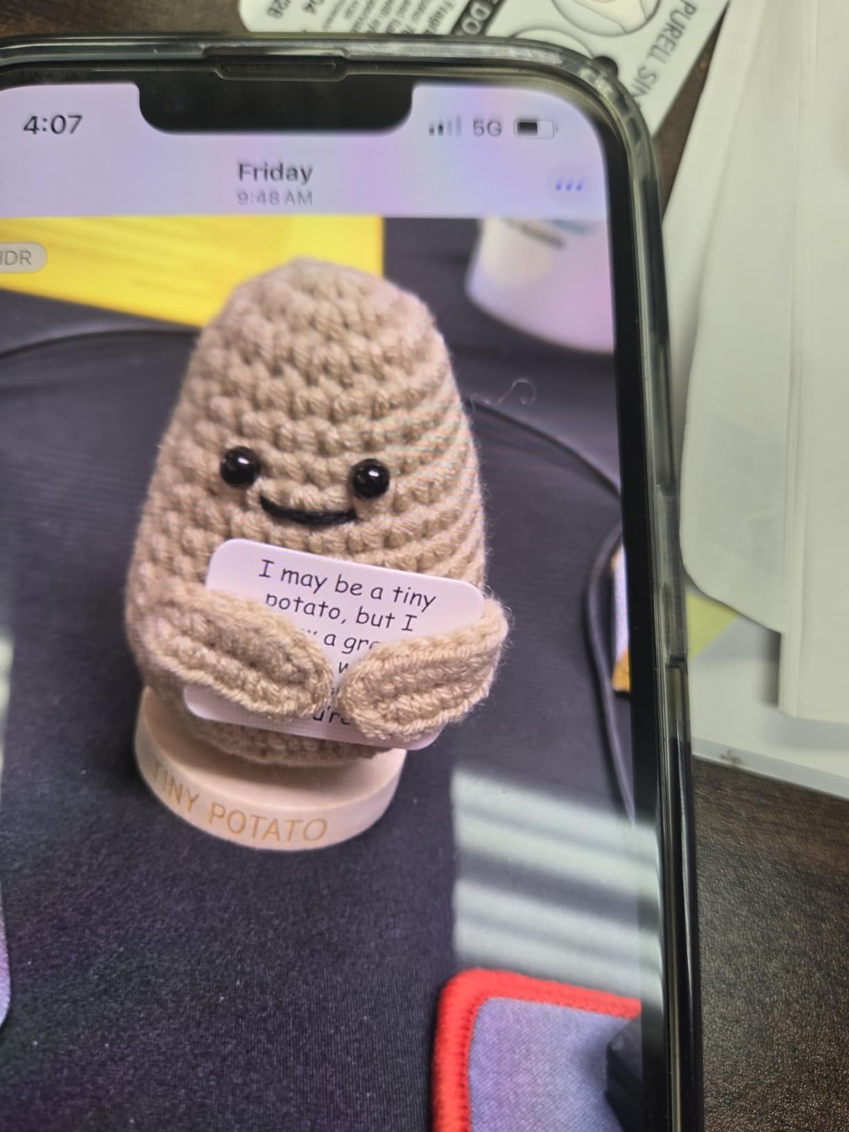 Gift for Principals - Positive Crochet Potato with 30 Swappable Appreciation Signs - Funny Principal Gifts for Women and Men for Birthday, Christmas Stocking Stuffers, Thank You, New Job, Retirement - Customer Photo 1