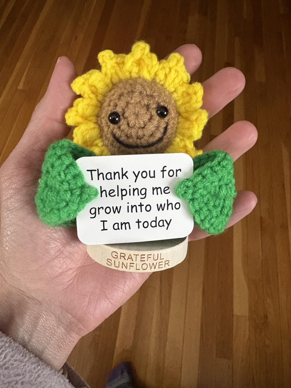 Gifts for Neighbors Bulk (5-Pack) - Bulk Neighbors Gifts - 5 Cute Crochet Positive Crochet Potatoes for Appreciation - Next Door Gift for Mothers Day, Fun Unique Holiday Presents for Neighborhood - Customer Photo 2