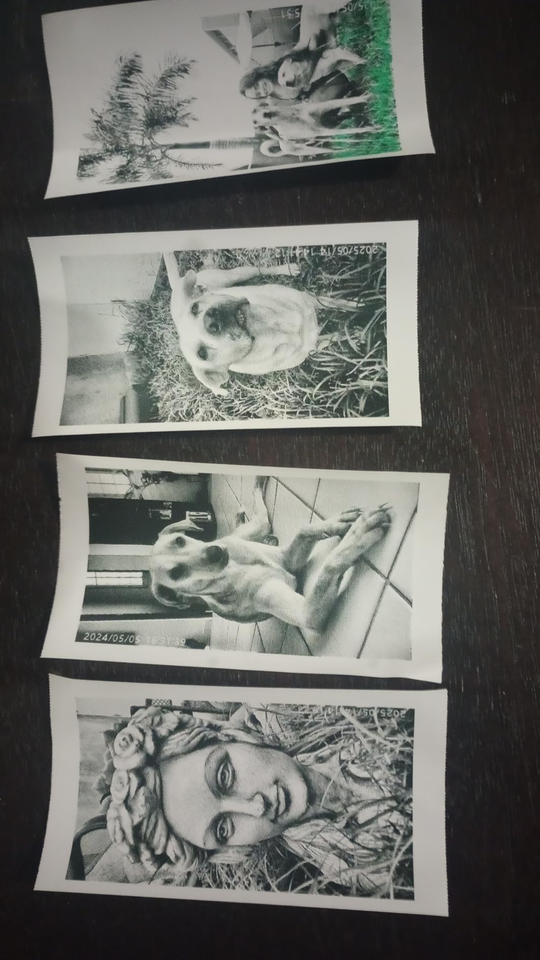 LETSHAHA Kids Camera Instant Print, 2.4 Inch Screen Instant Cameras for Kids, Christmas Birthday Gifts Toys Camera for Toddler Girls Boys Age 3-12-Purple - Customer Photo 1