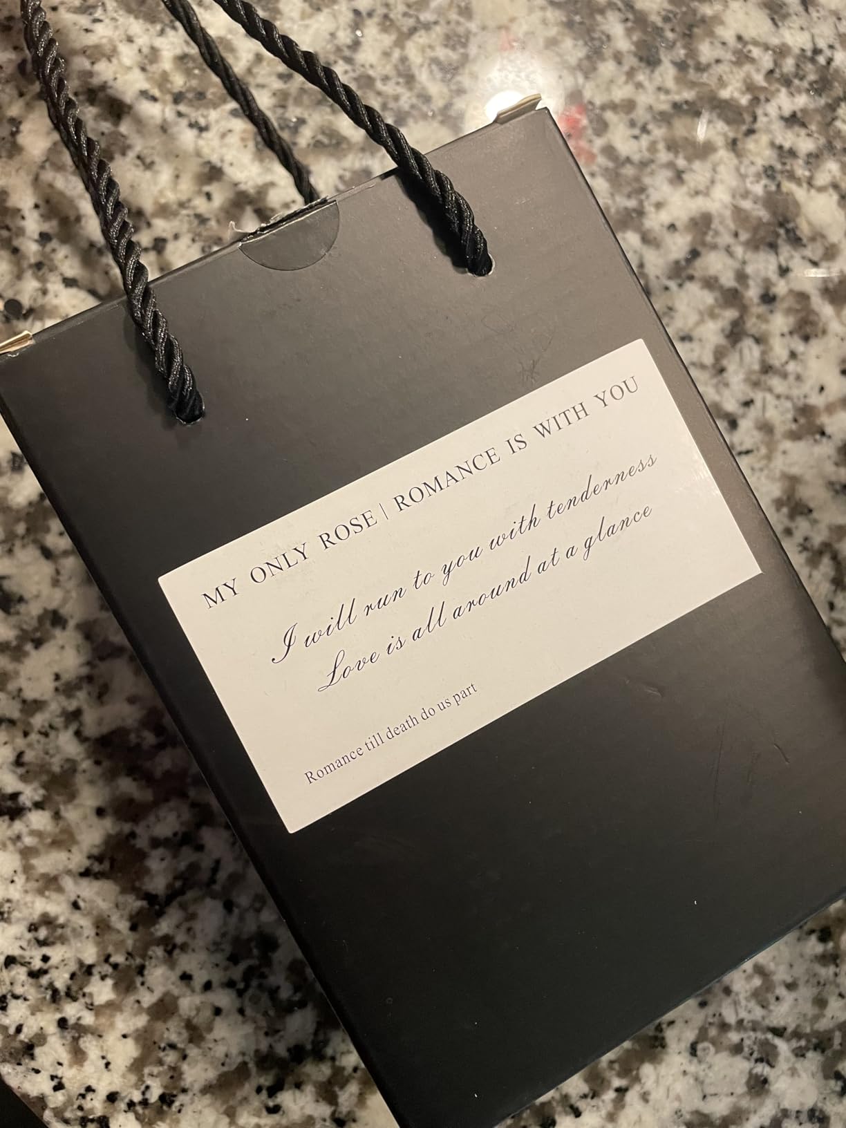 Preserved Rose with Heart Necklace Gift Artificial Flower Valentines Mothers Day for Girlfriend Mom Wife Women Her Birthday Anniversary Personalized Romantic Christmas Gifts - Customer Photo 1