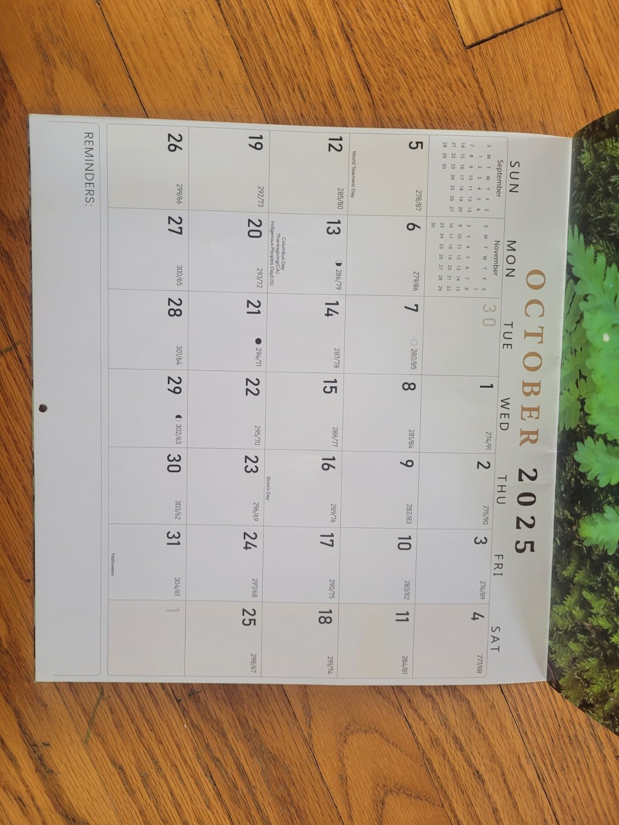 Funny White Elephant Gifts - Natures D*cks Pics Calendar 2026, Inappropriate Gifts, Prank Gifts, Dirty Santa Gifts, Stocking Stuffers for Sister Friend Husband, Gag Gifts Funny Adult, White Elephant Gifts for Adults Customer Review Funny White Elephant Gifts - Natures D*cks Pics Calendar 2026, Inappropriate Gifts, Prank Gifts, Dirty Santa Gifts, Stocking Stuffers for Sister Friend Husband, Gag Gifts Funny Adult, White Elephant Gifts for Adults - Customer Photo 1