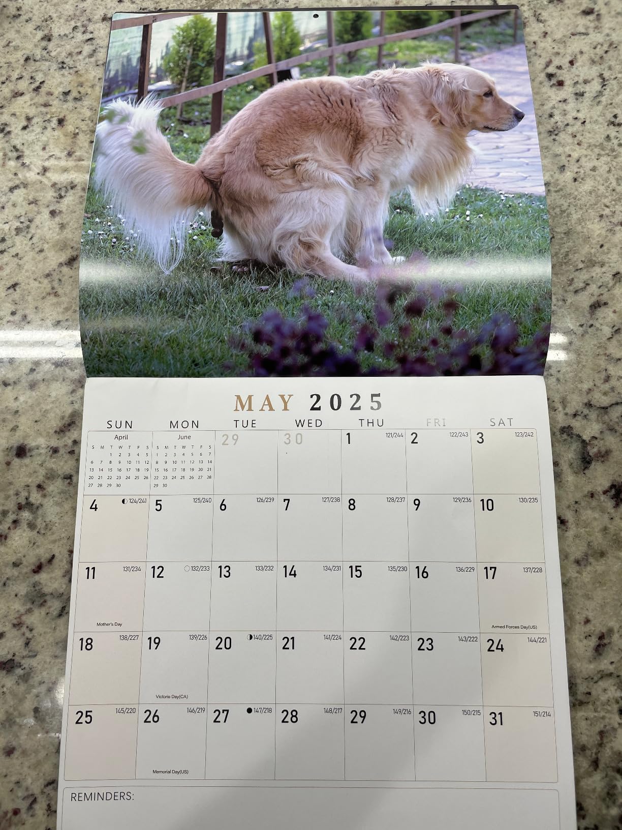 Funny White Elephant Gifts - Natures D*cks Pics Calendar 2026, Inappropriate Gifts, Prank Gifts, Dirty Santa Gifts, Stocking Stuffers for Sister Friend Husband, Gag Gifts Funny Adult, White Elephant Gifts for Adults Customer Review Funny White Elephant Gifts - Natures D*cks Pics Calendar 2026, Inappropriate Gifts, Prank Gifts, Dirty Santa Gifts, Stocking Stuffers for Sister Friend Husband, Gag Gifts Funny Adult, White Elephant Gifts for Adults - Customer Photo 2